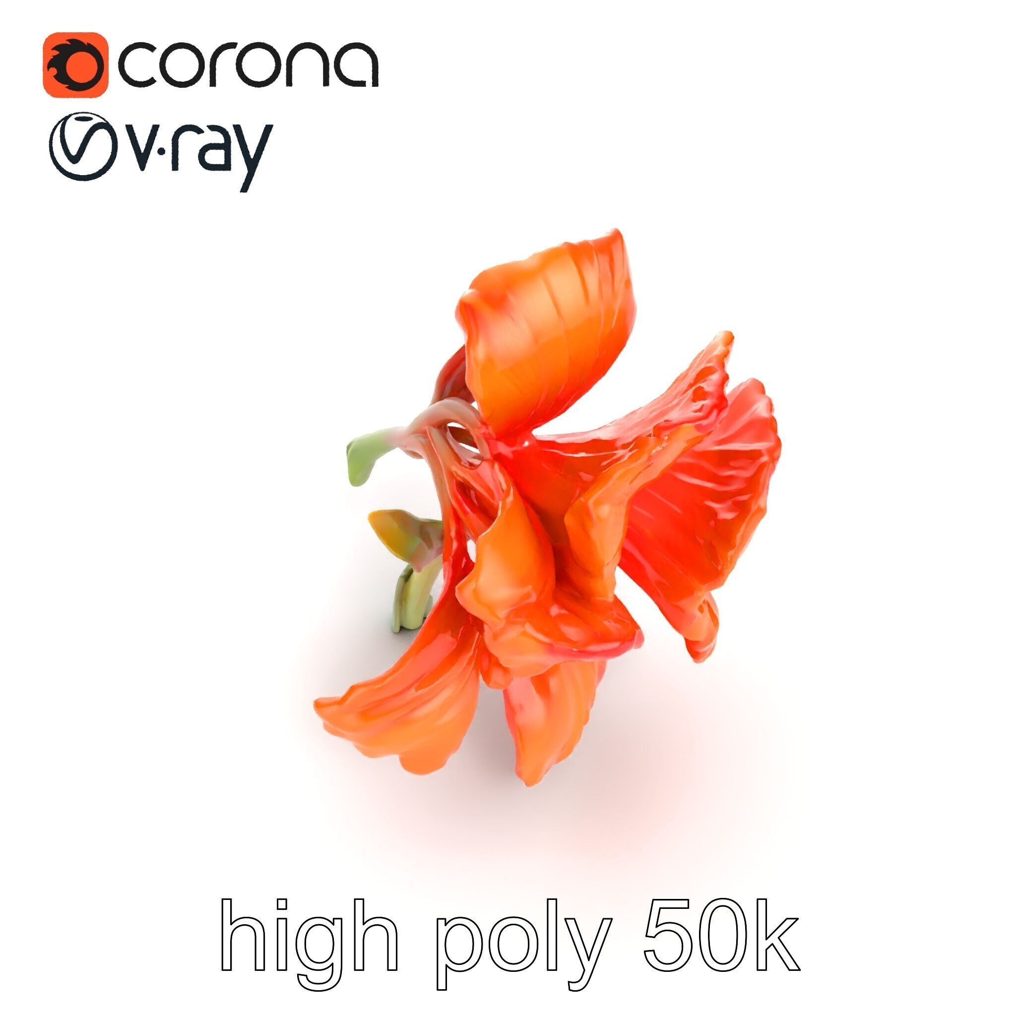 Vivid Orange Gladiolus Flower Detailed Model Pack Low-poly 3D model_16