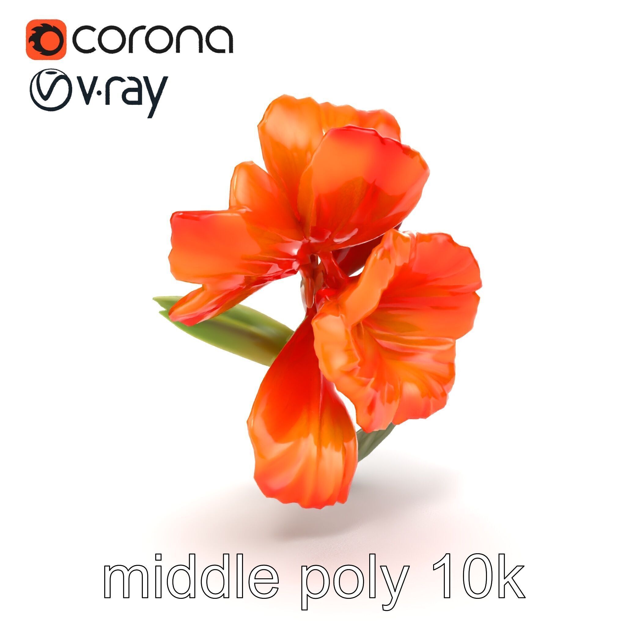 Vivid Orange Gladiolus Flower Detailed Model Pack Low-poly 3D model_12