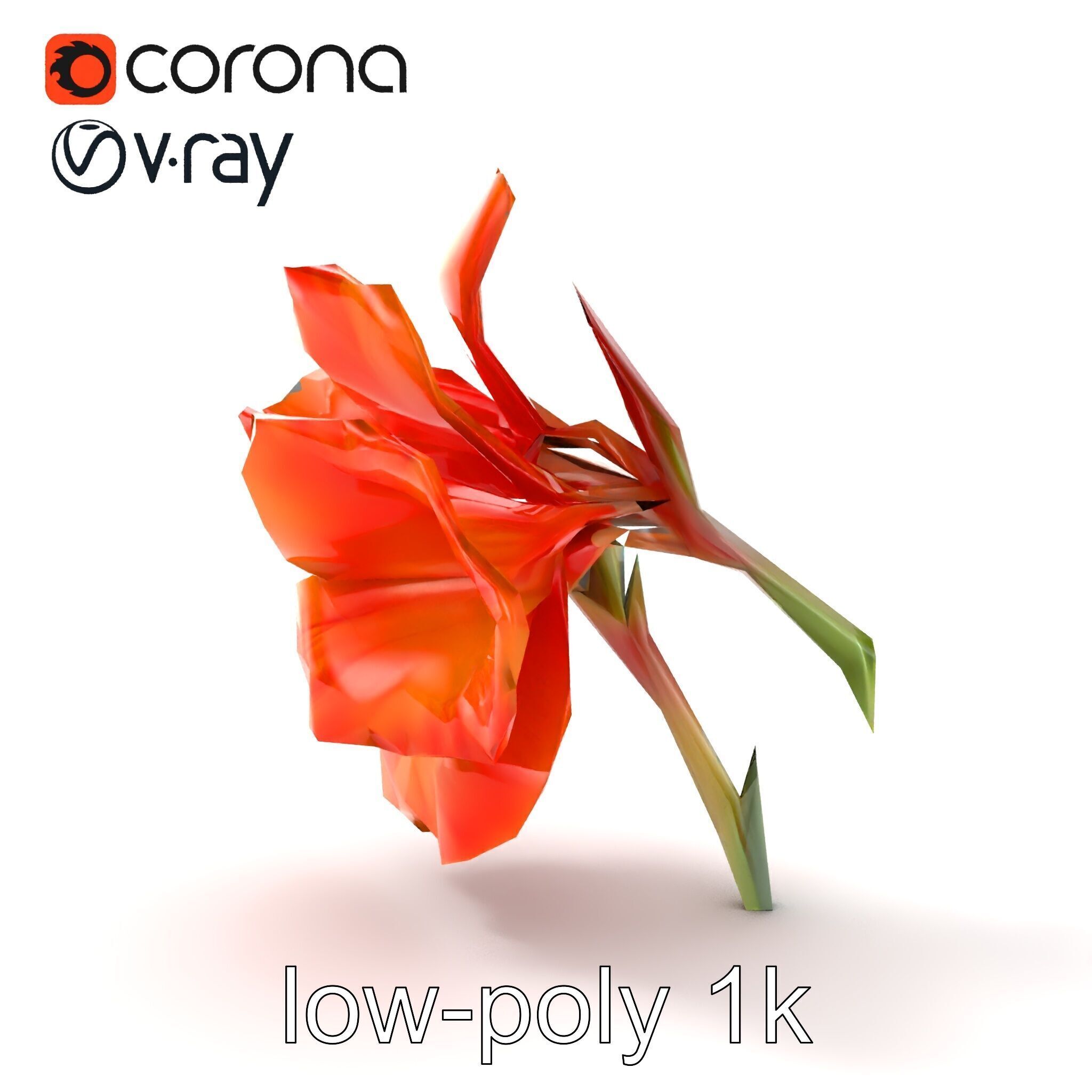 Vivid Orange Gladiolus Flower Detailed Model Pack Low-poly 3D model_18