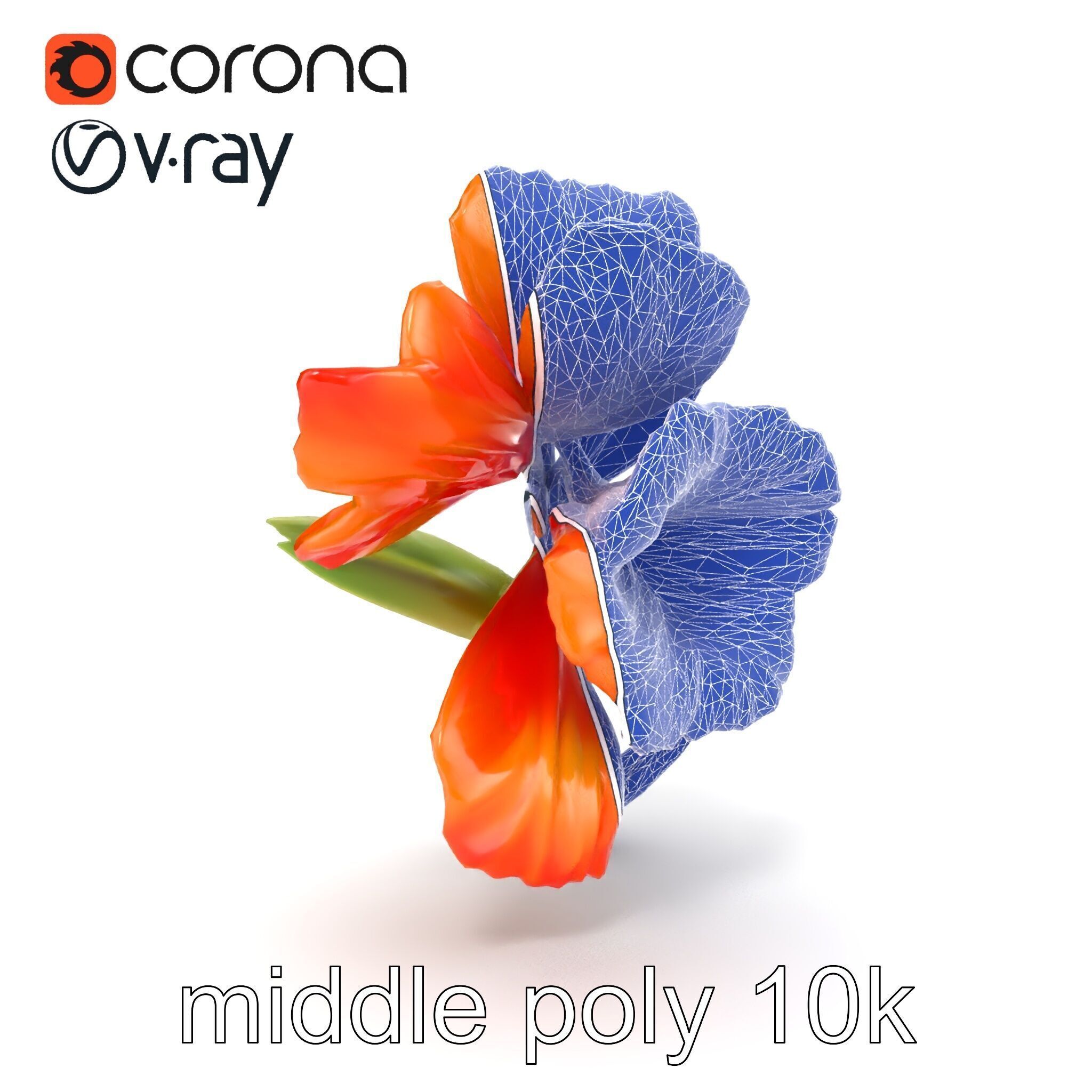 Vivid Orange Gladiolus Flower Detailed Model Pack Low-poly 3D model_30