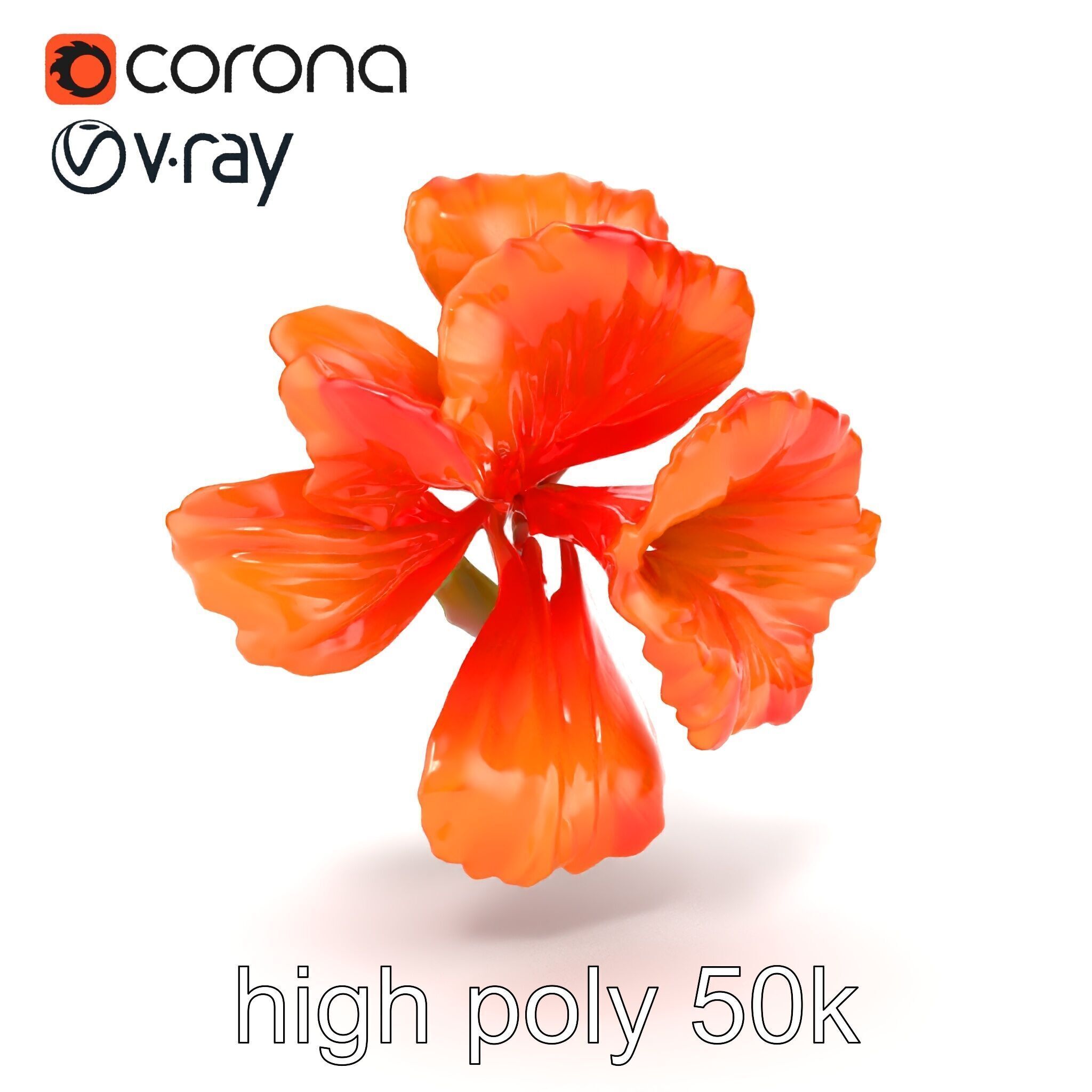 Vivid Orange Gladiolus Flower Detailed Model Pack Low-poly 3D model_19