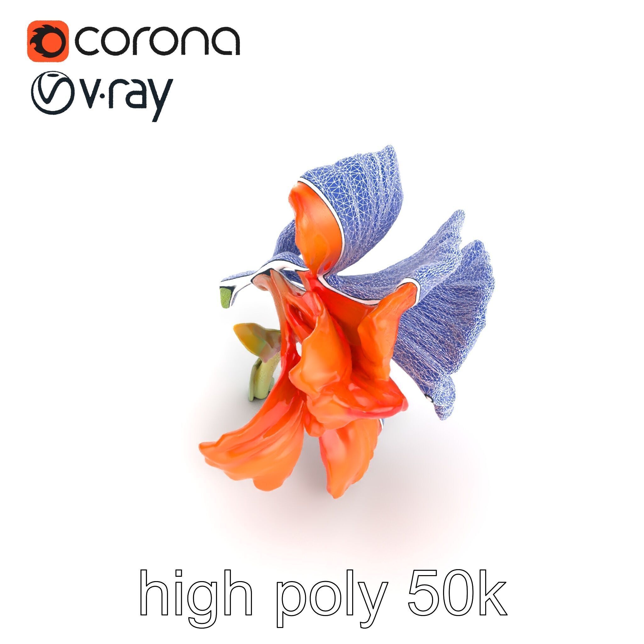 Vivid Orange Gladiolus Flower Detailed Model Pack Low-poly 3D model_15