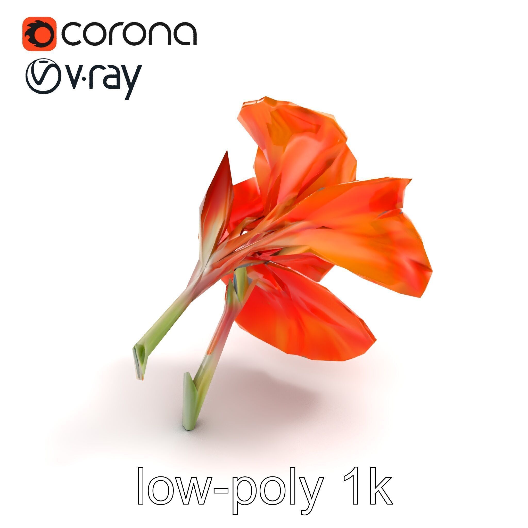 Vivid Orange Gladiolus Flower Detailed Model Pack Low-poly 3D model_8