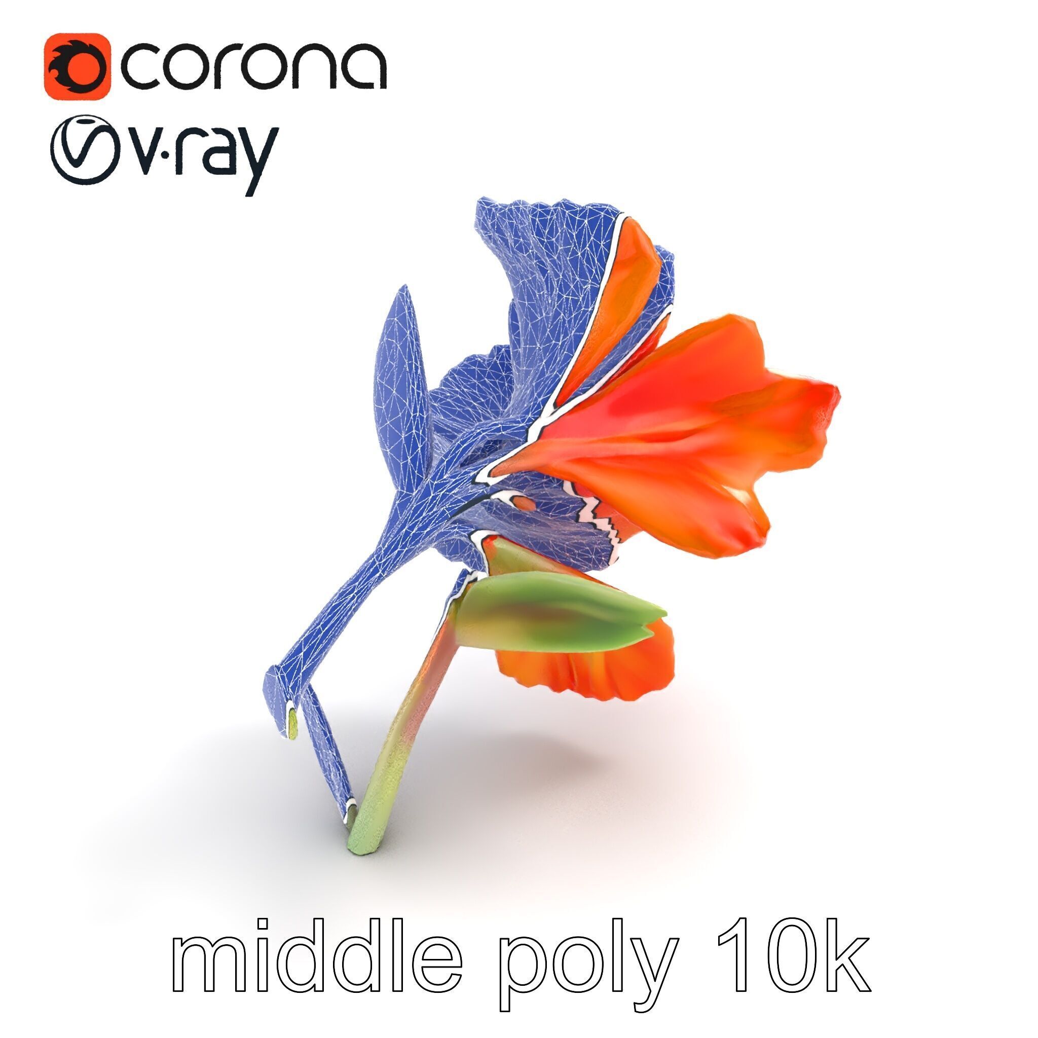 Vivid Orange Gladiolus Flower Detailed Model Pack Low-poly 3D model_10