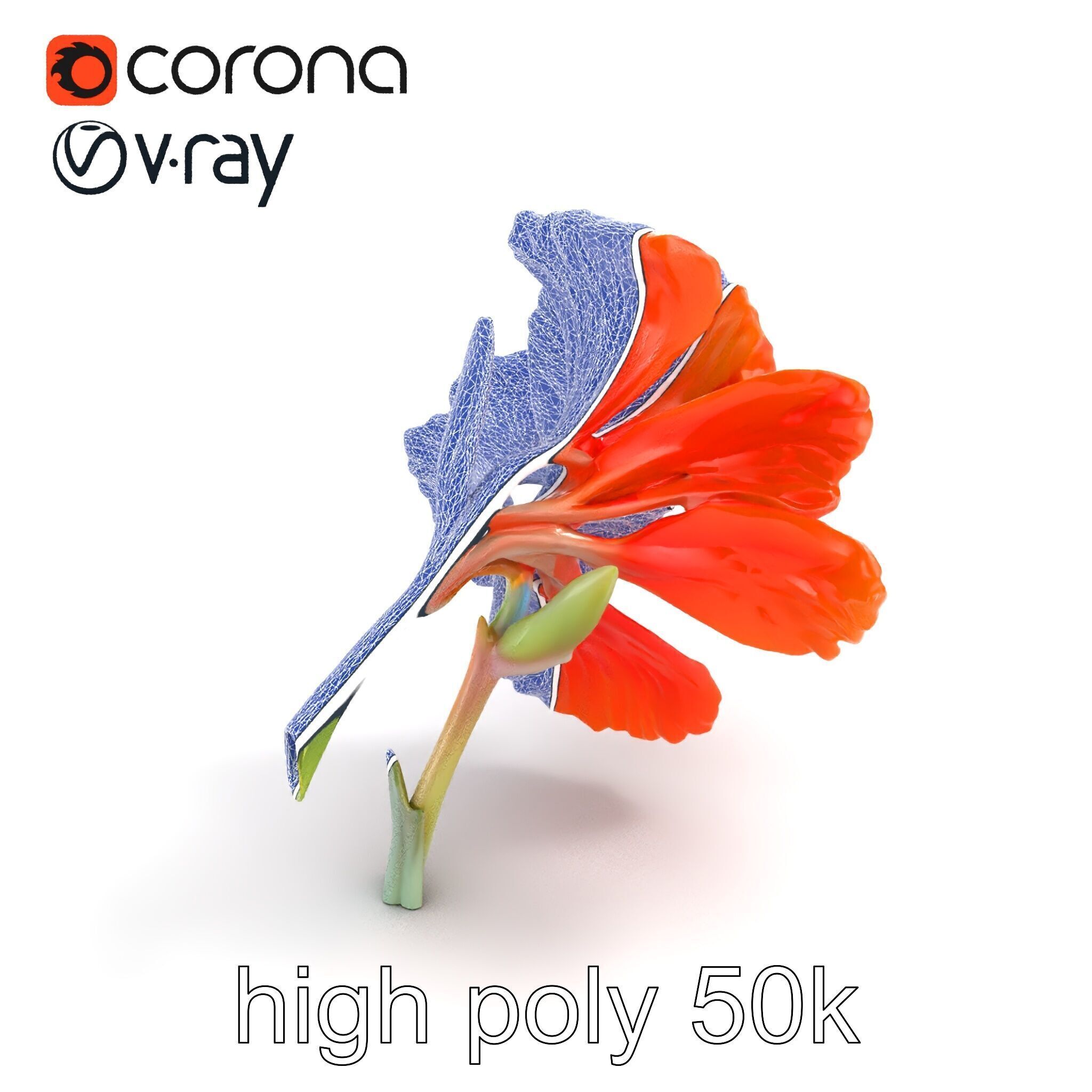 Vivid Orange Gladiolus Flower Detailed Model Pack Low-poly 3D model_24
