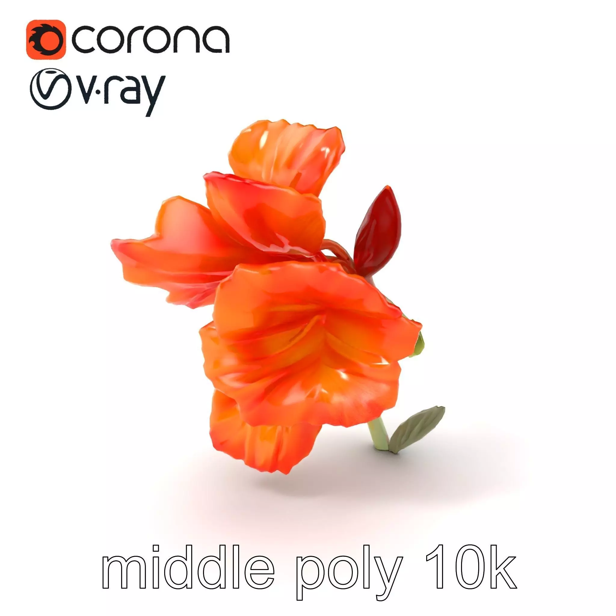 Vivid Orange Gladiolus Flower Detailed Model Pack Low-poly 3D model_0