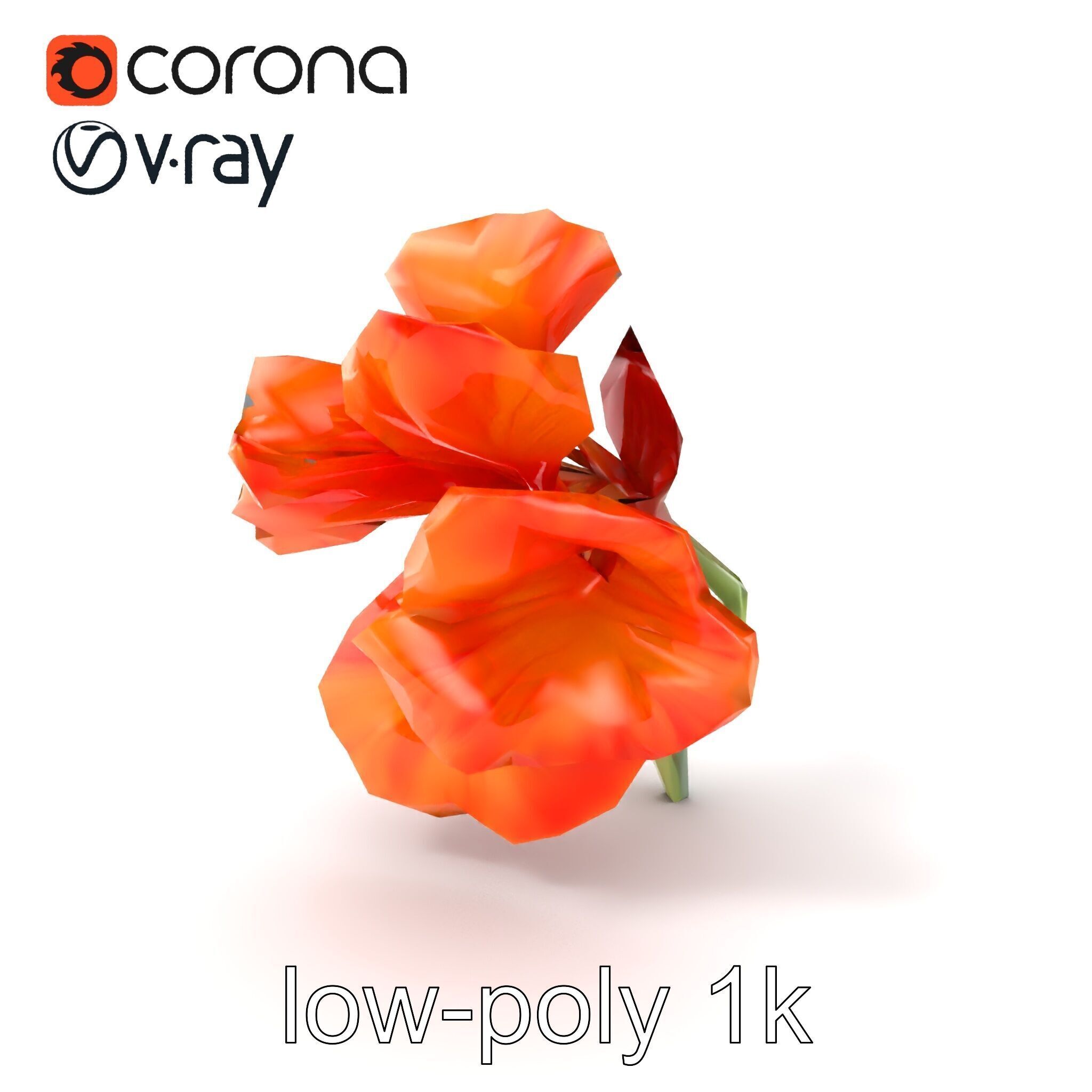 Vivid Orange Gladiolus Flower Detailed Model Pack Low-poly 3D model_4