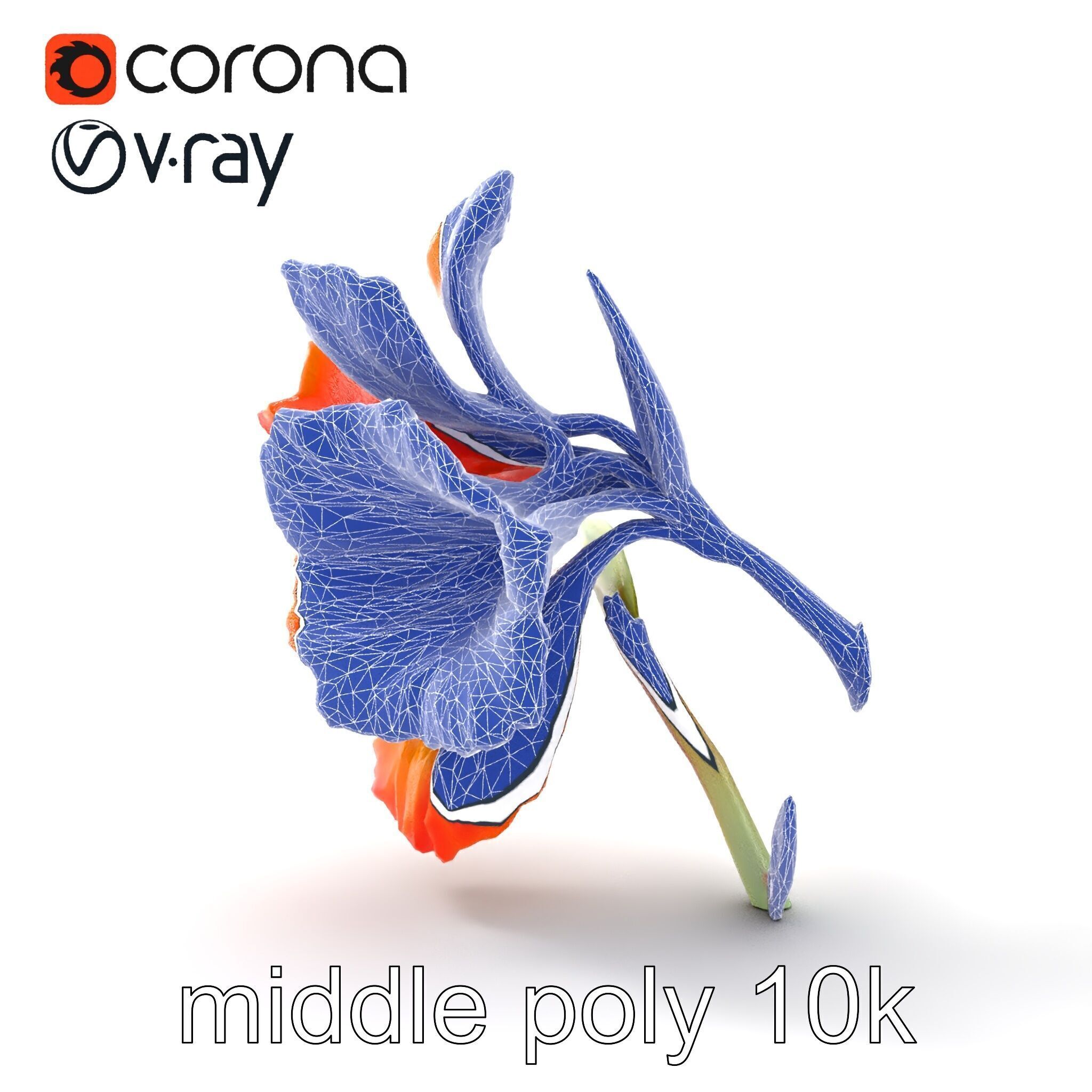 Vivid Orange Gladiolus Flower Detailed Model Pack Low-poly 3D model_27