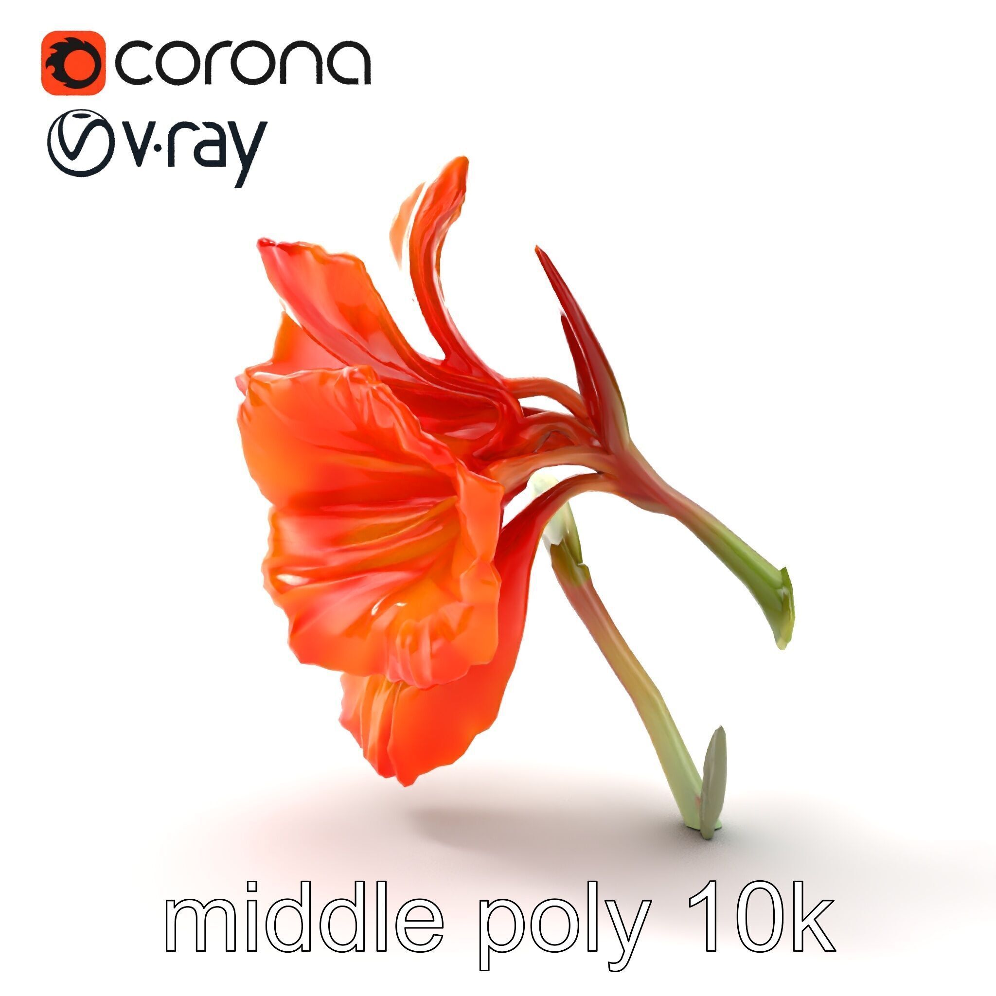 Vivid Orange Gladiolus Flower Detailed Model Pack Low-poly 3D model_14