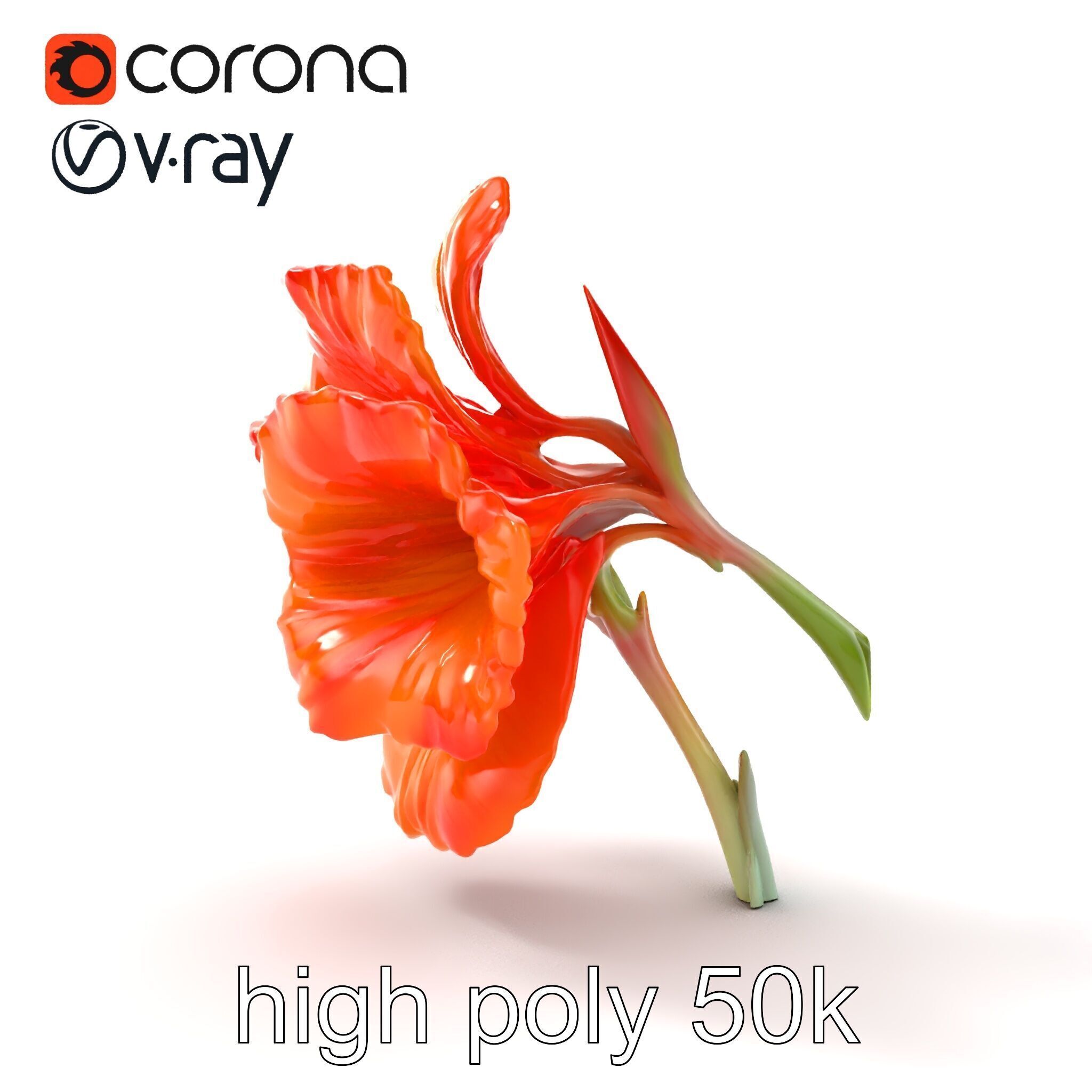 Vivid Orange Gladiolus Flower Detailed Model Pack Low-poly 3D model_21