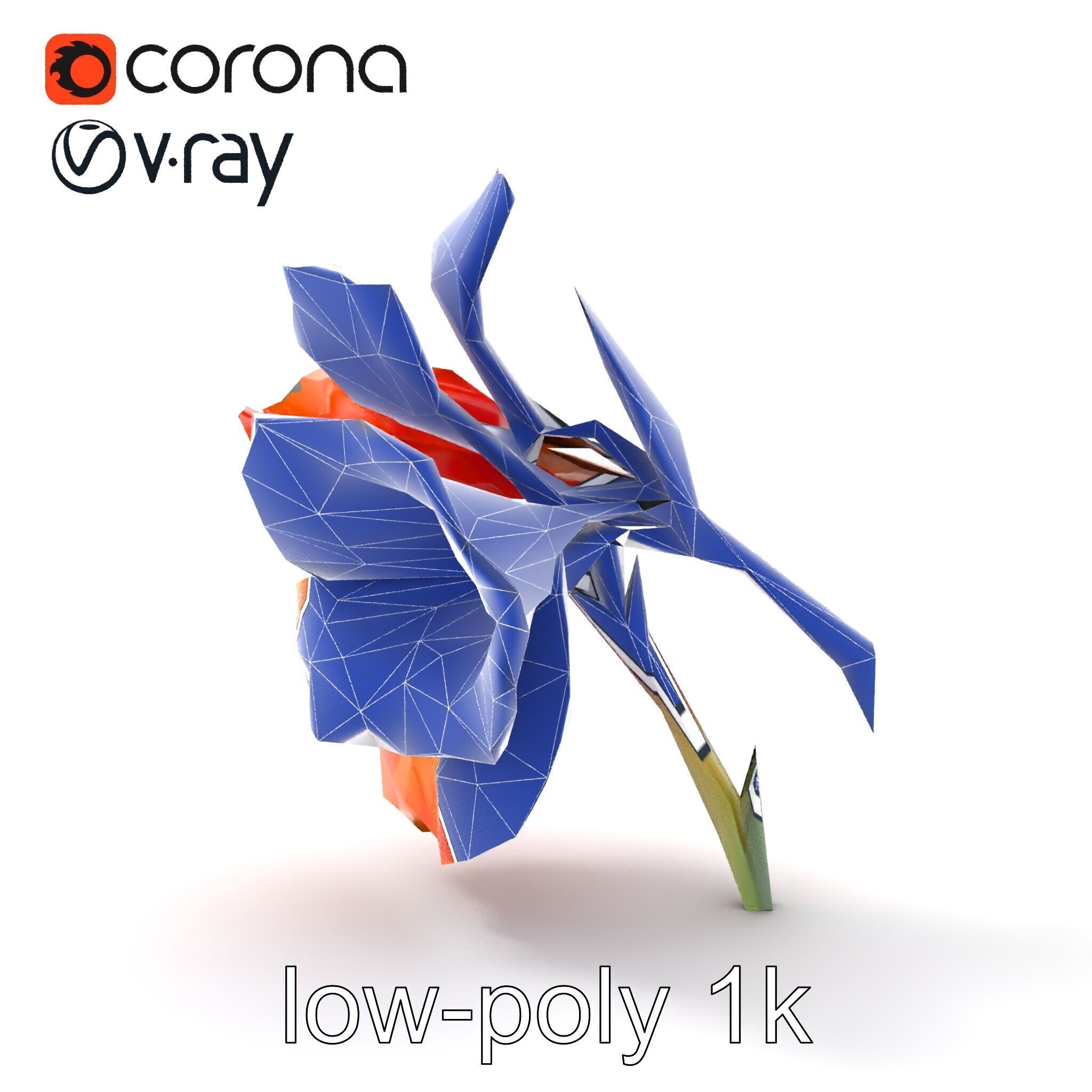 Vivid Orange Gladiolus Flower Detailed Model Pack Low-poly 3D model_26