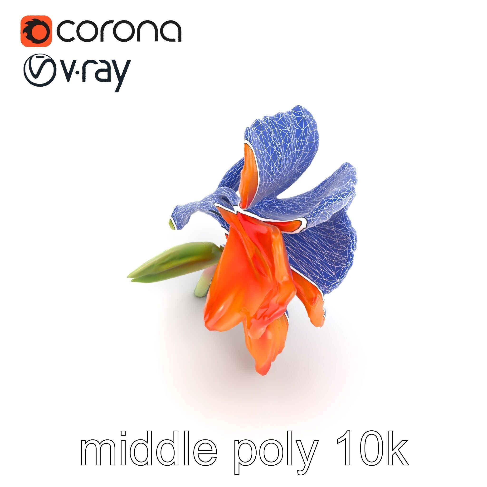 Vivid Orange Gladiolus Flower Detailed Model Pack Low-poly 3D model_25