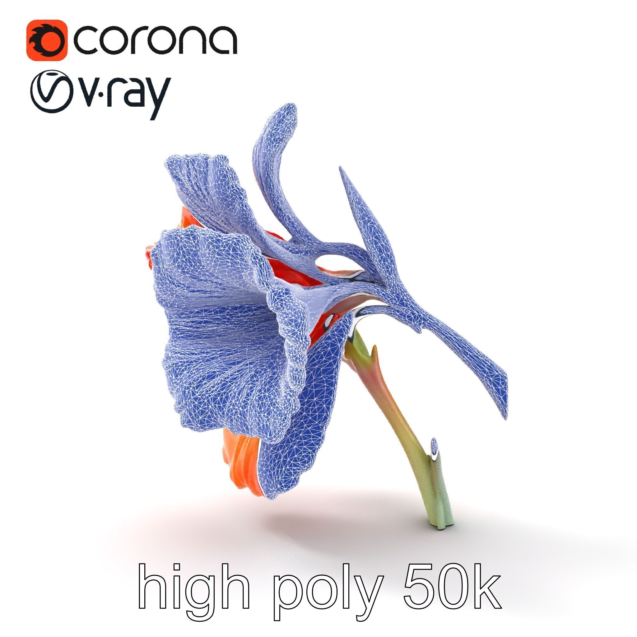 Vivid Orange Gladiolus Flower Detailed Model Pack Low-poly 3D model_29