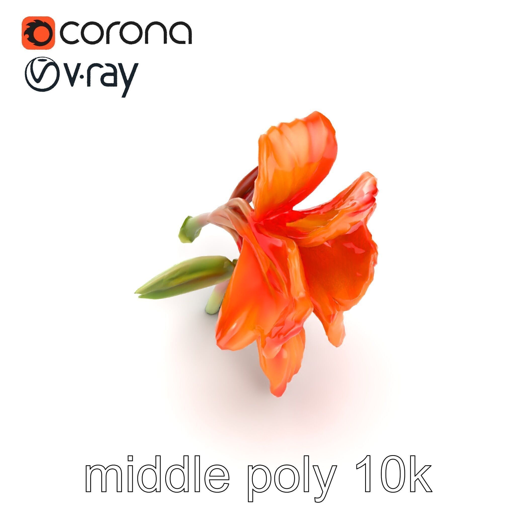 Vivid Orange Gladiolus Flower Detailed Model Pack Low-poly 3D model_11