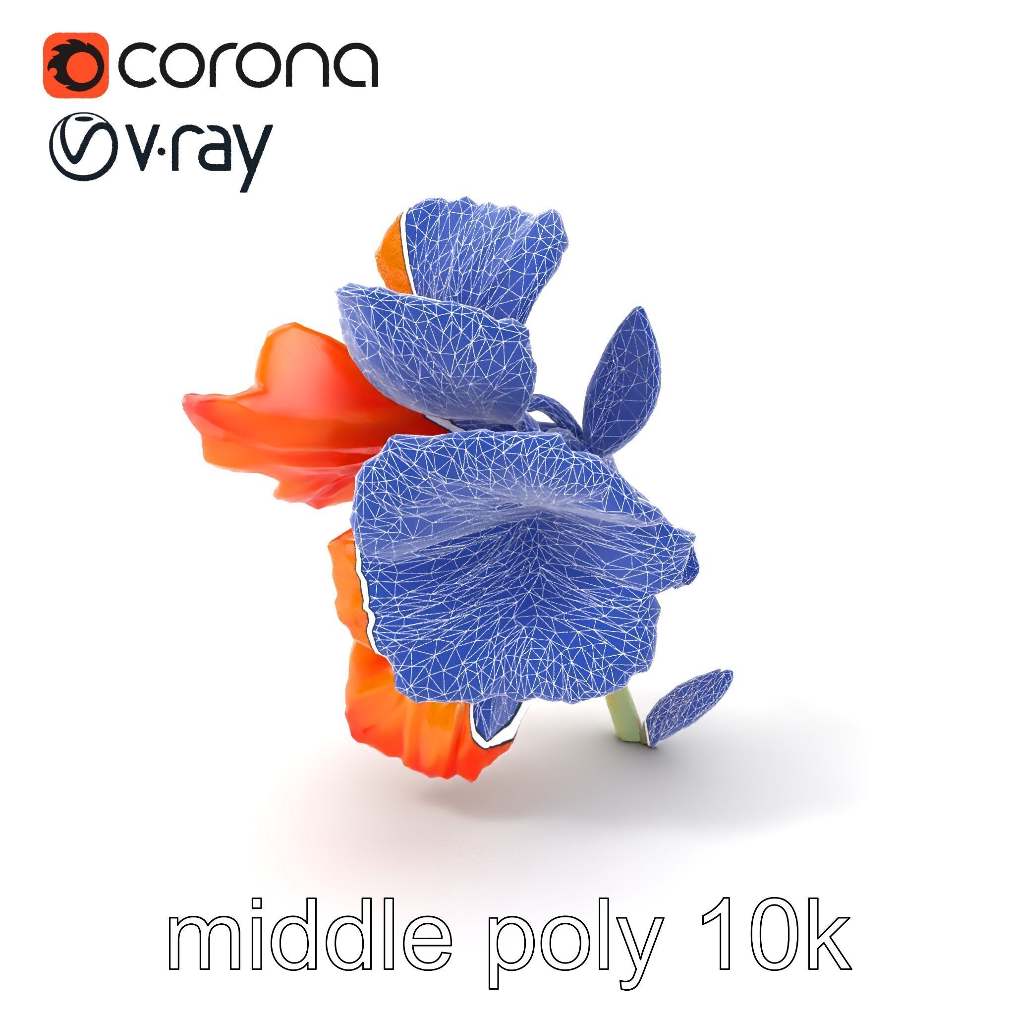 Vivid Orange Gladiolus Flower Detailed Model Pack Low-poly 3D model_5