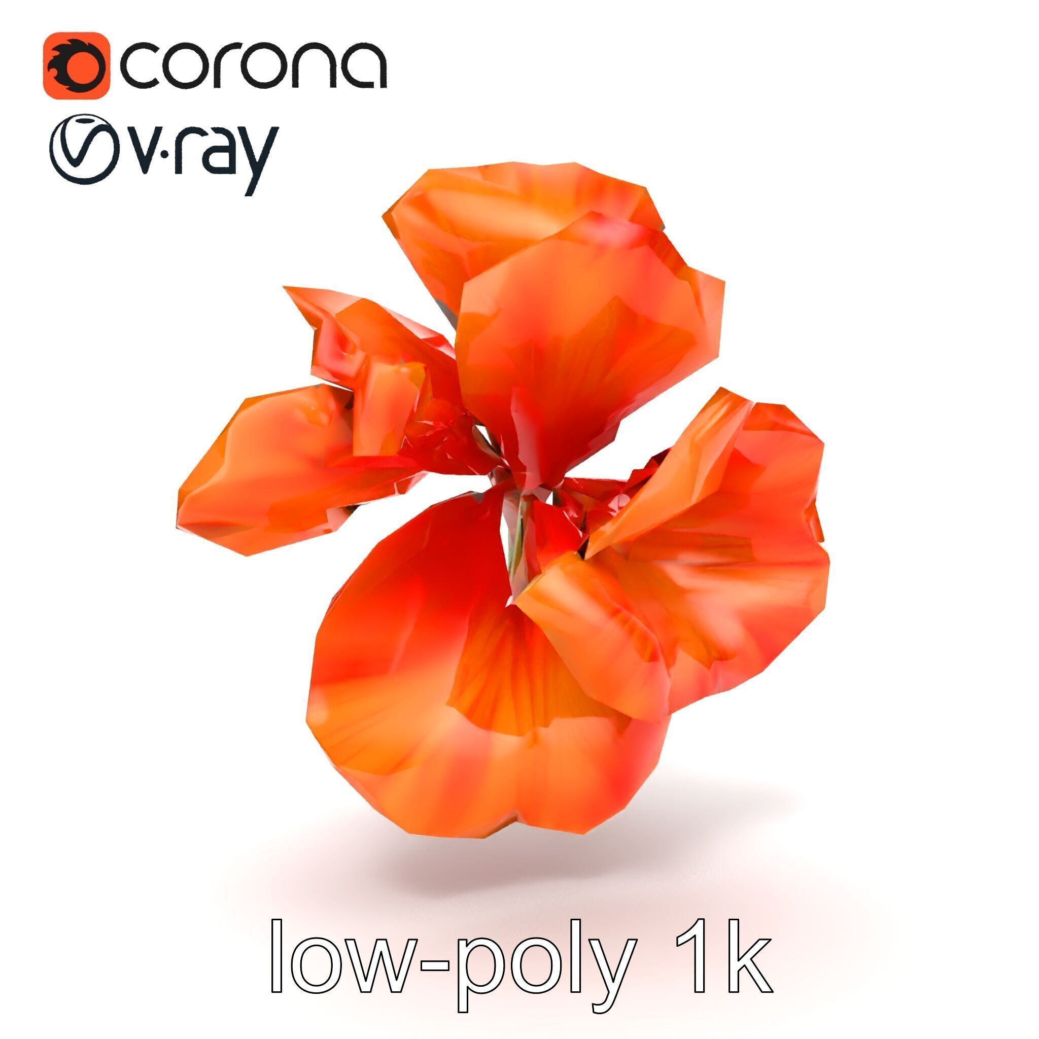 Vivid Orange Gladiolus Flower Detailed Model Pack Low-poly 3D model_23