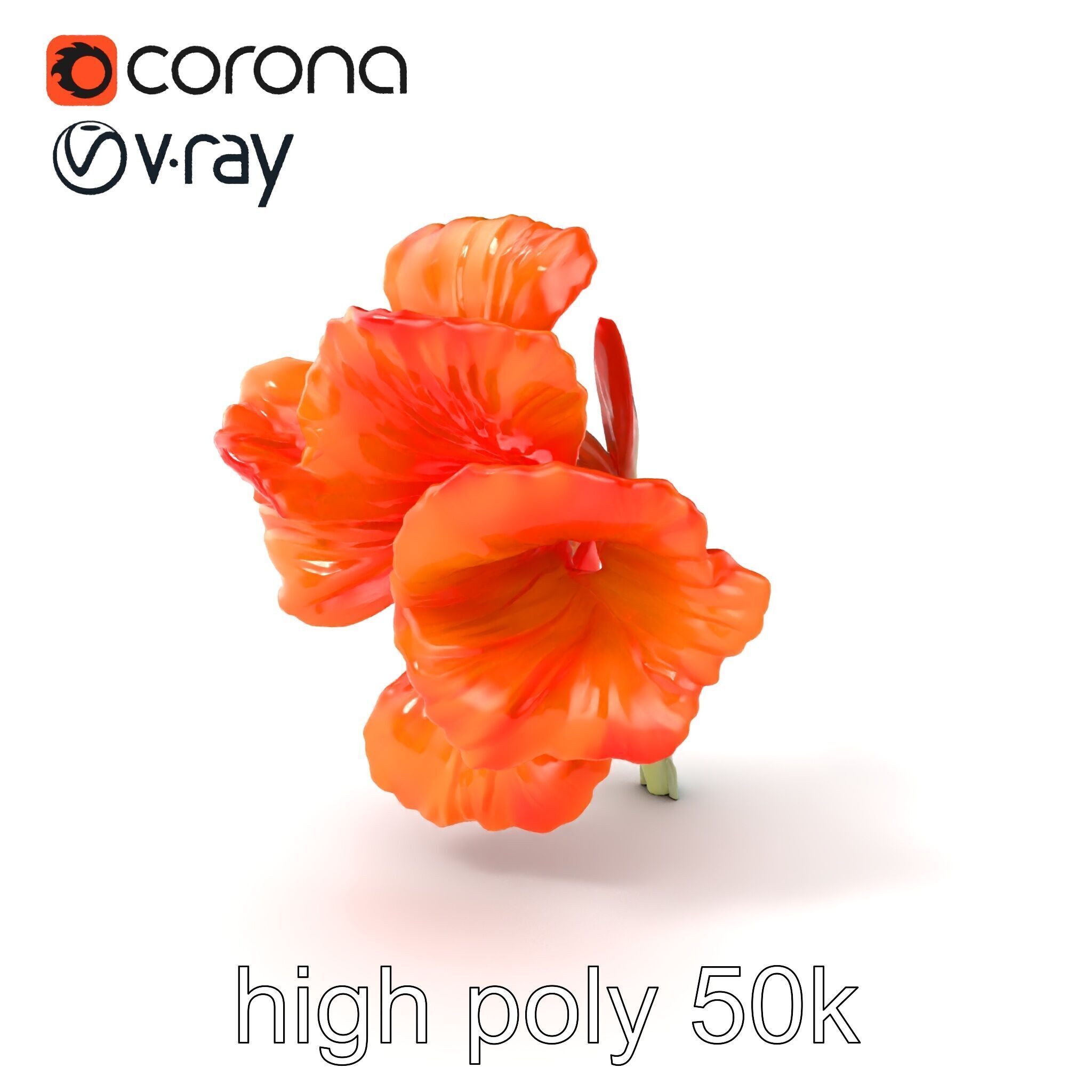 Vivid Orange Gladiolus Flower Detailed Model Pack Low-poly 3D model_2