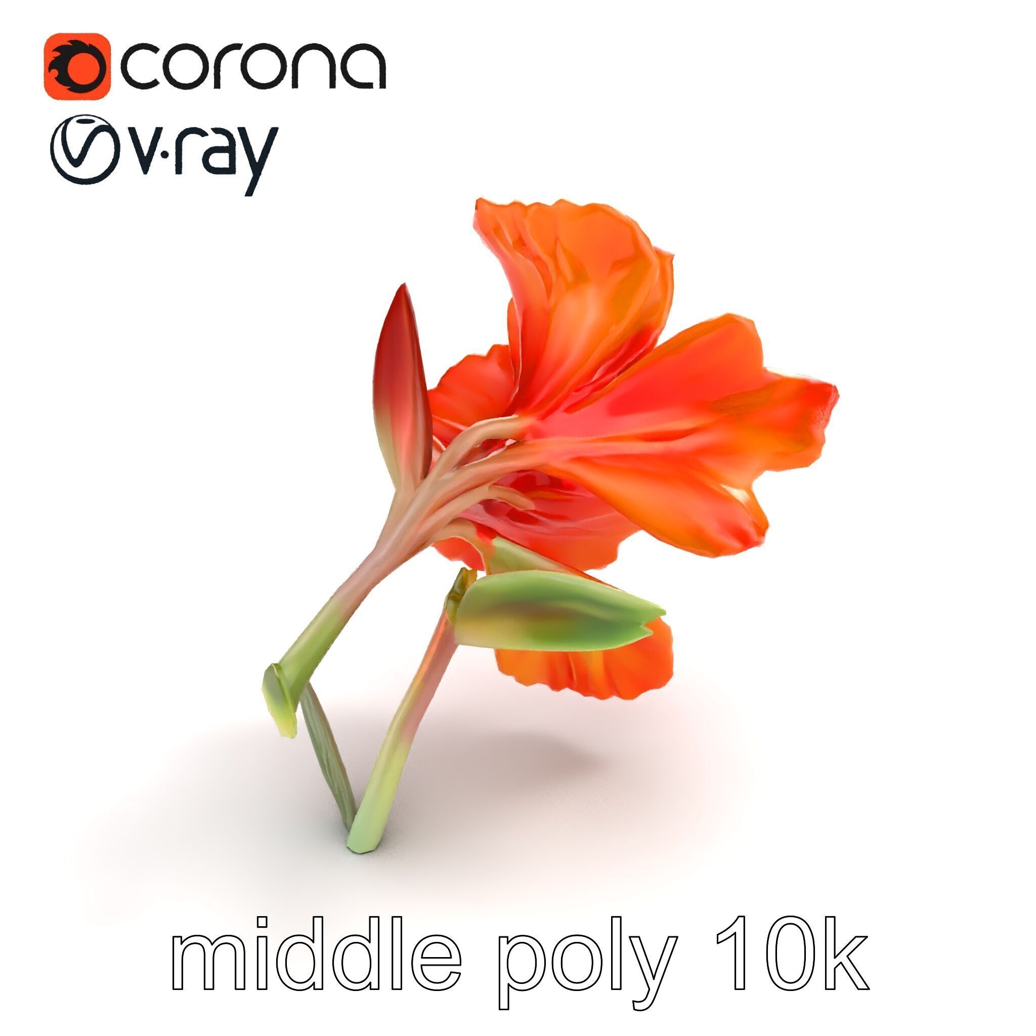 Vivid Orange Gladiolus Flower Detailed Model Pack Low-poly 3D model_7