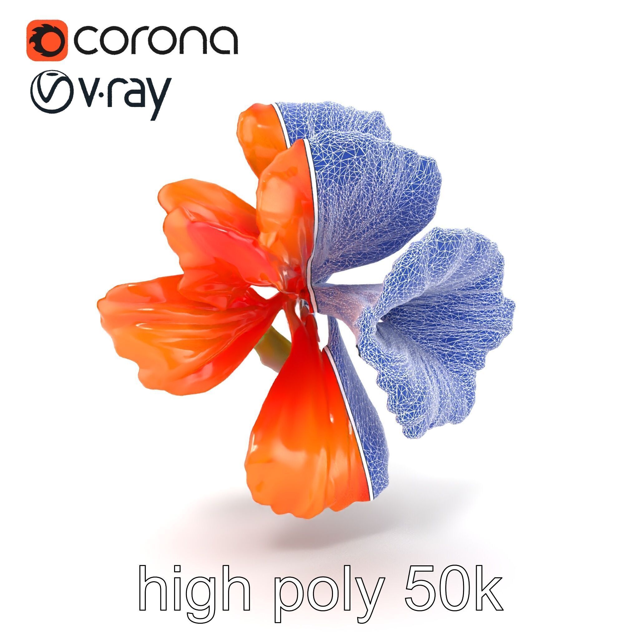 Vivid Orange Gladiolus Flower Detailed Model Pack Low-poly 3D model_22