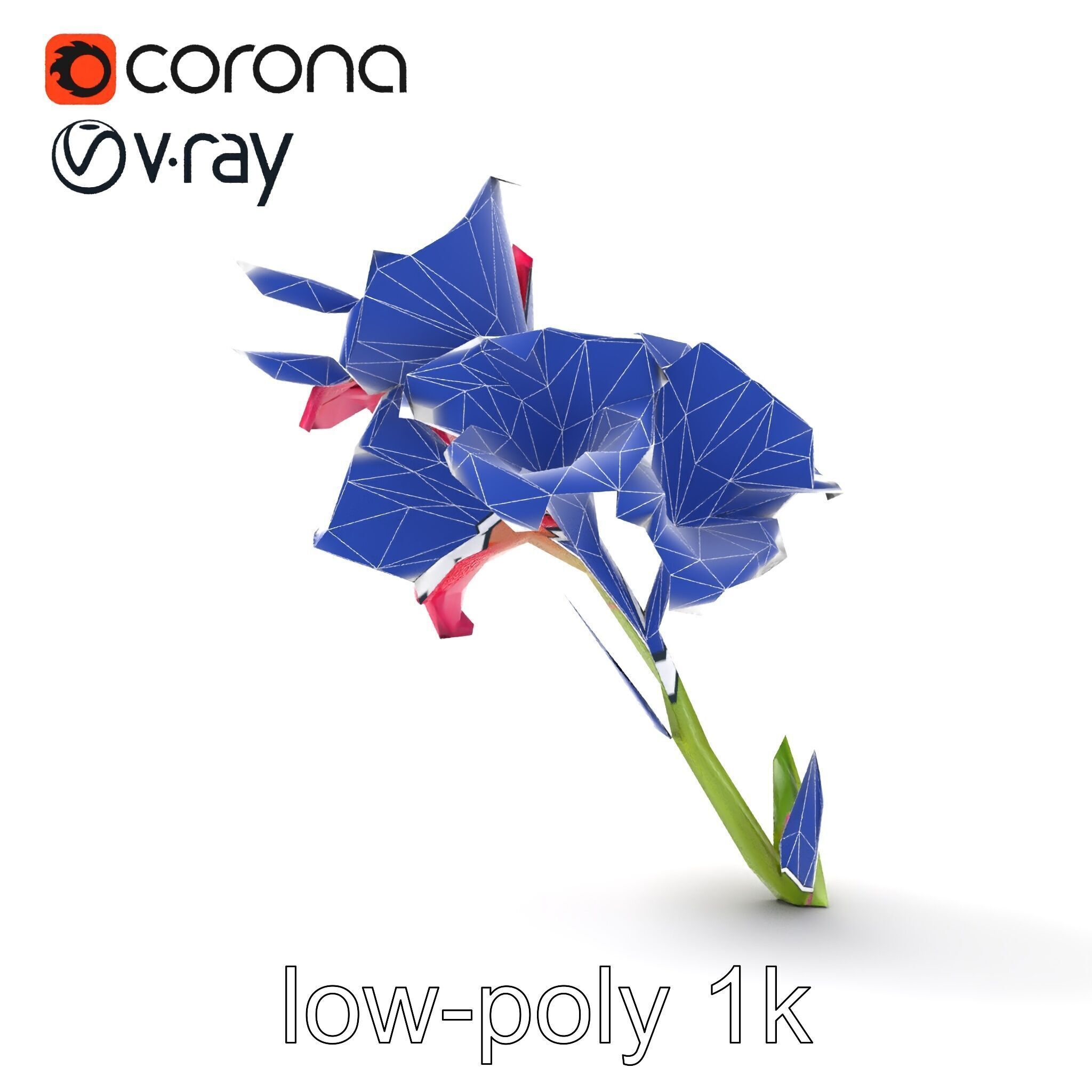 Gladiolus Grandiflorus Flora Sculpture model pack Low-poly 3D model_17