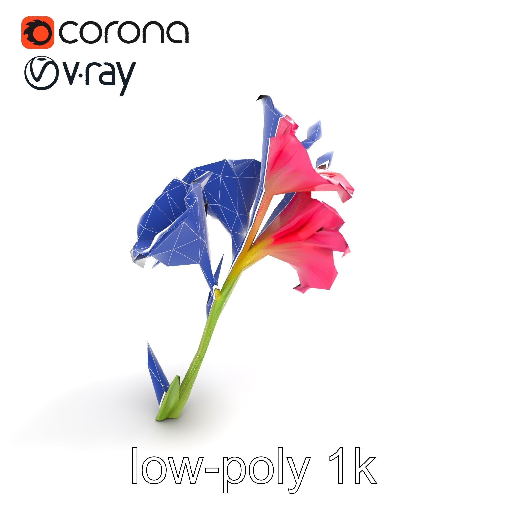 Gladiolus Grandiflorus Flora Sculpture model pack Low-poly 3D model_11