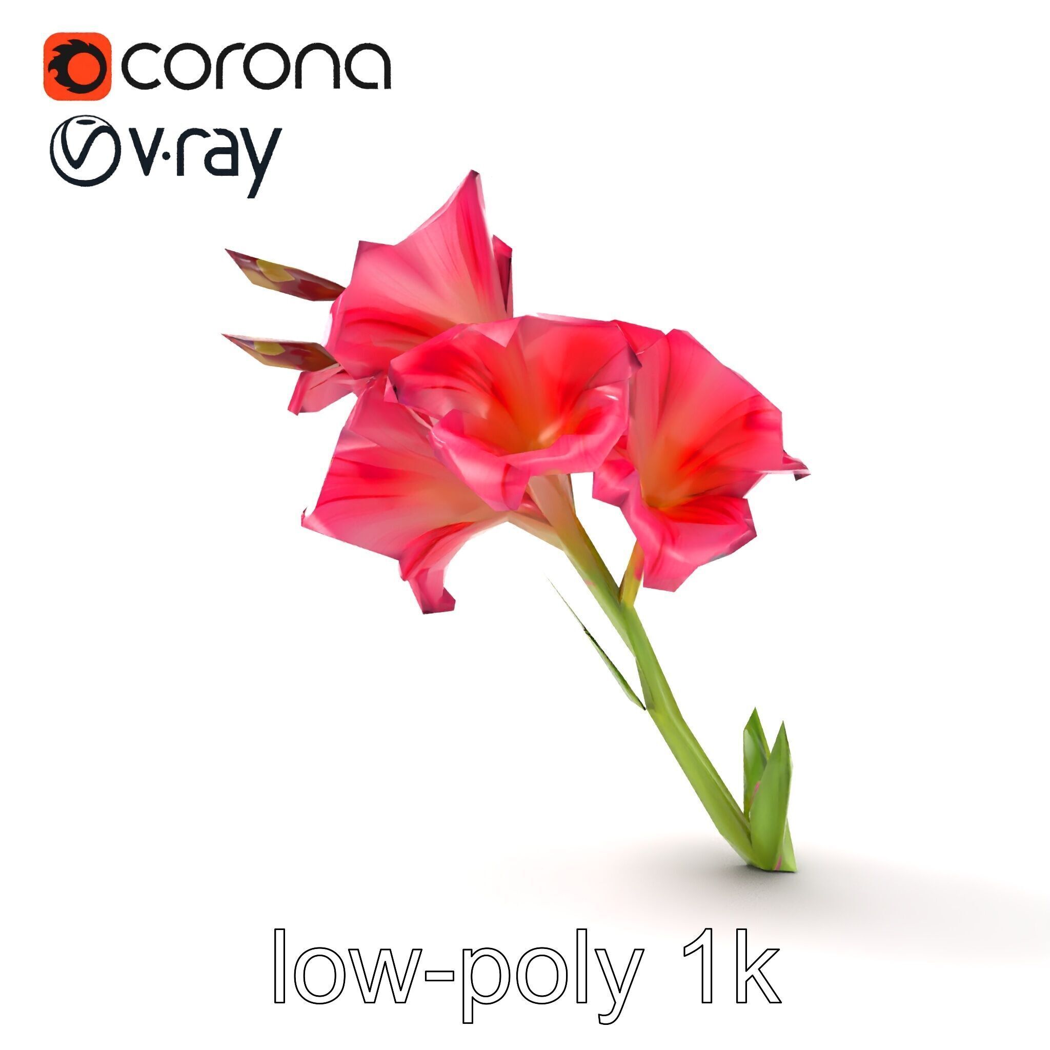 Gladiolus Grandiflorus Flora Sculpture model pack Low-poly 3D model_20