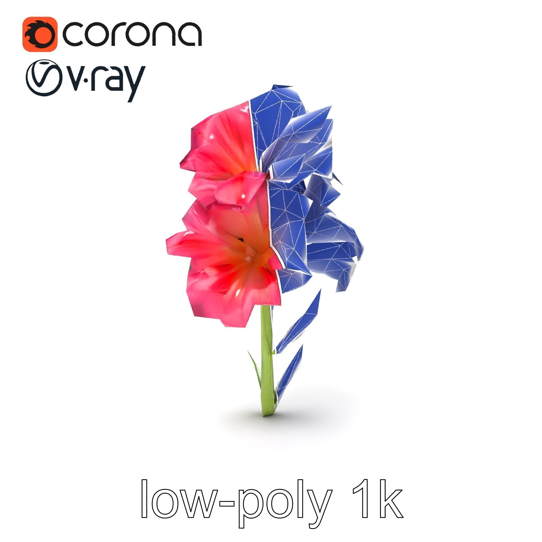 Gladiolus Grandiflorus Flora Sculpture model pack Low-poly 3D model_26