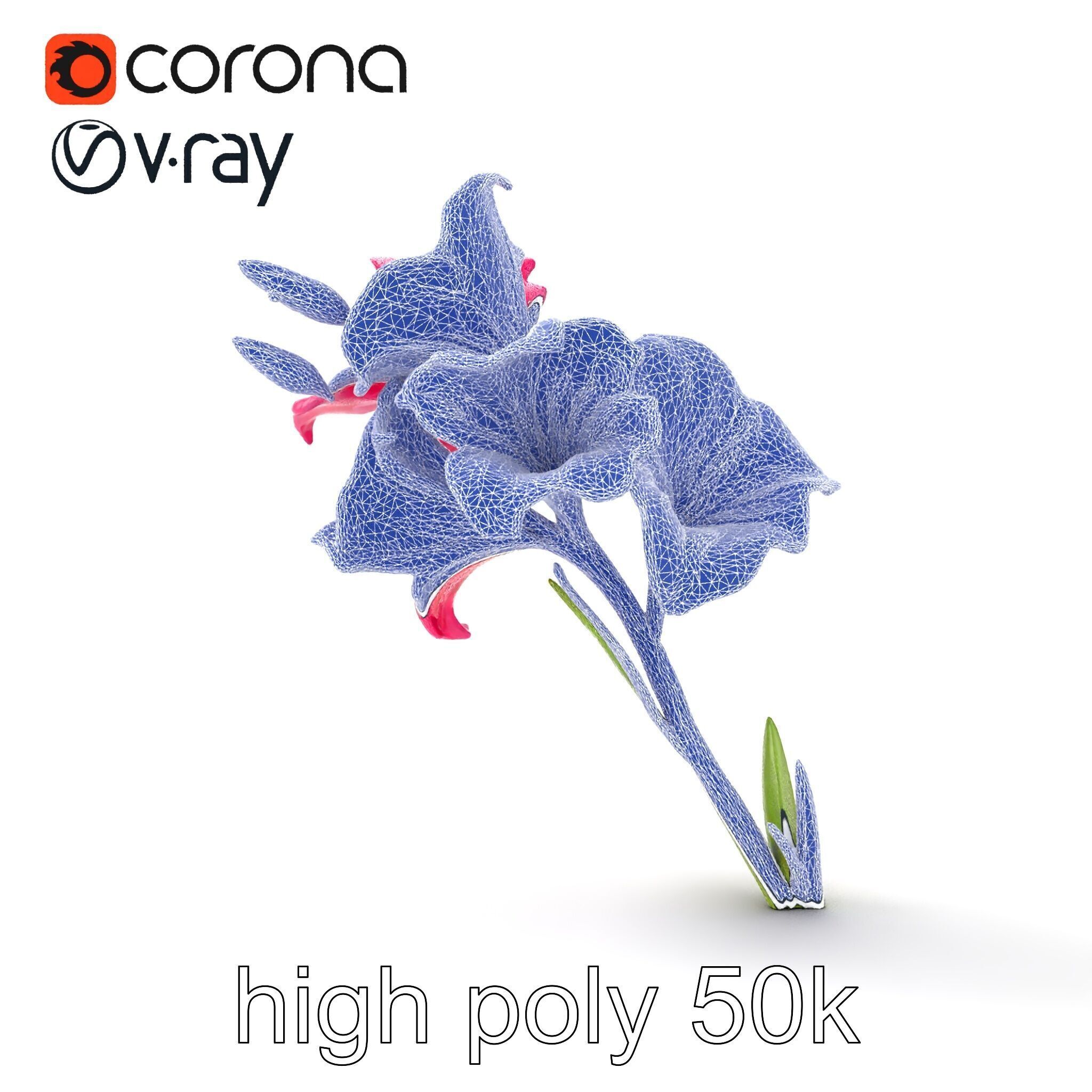 Gladiolus Grandiflorus Flora Sculpture model pack Low-poly 3D model_30