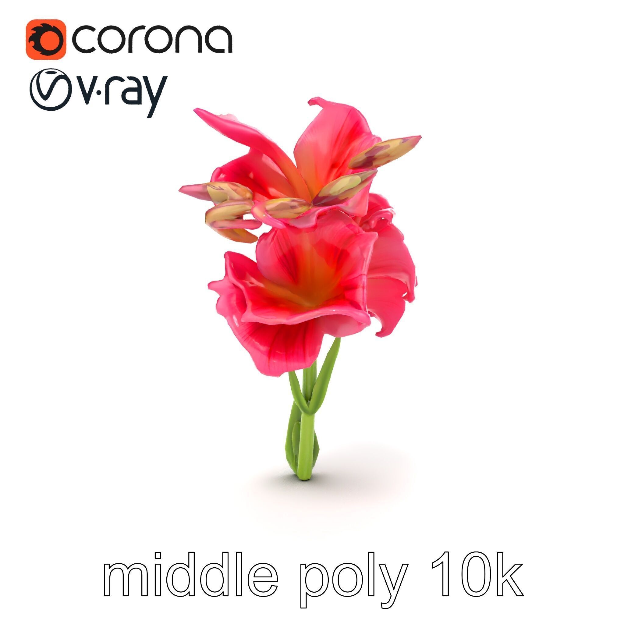 Gladiolus Grandiflorus Flora Sculpture model pack Low-poly 3D model_32