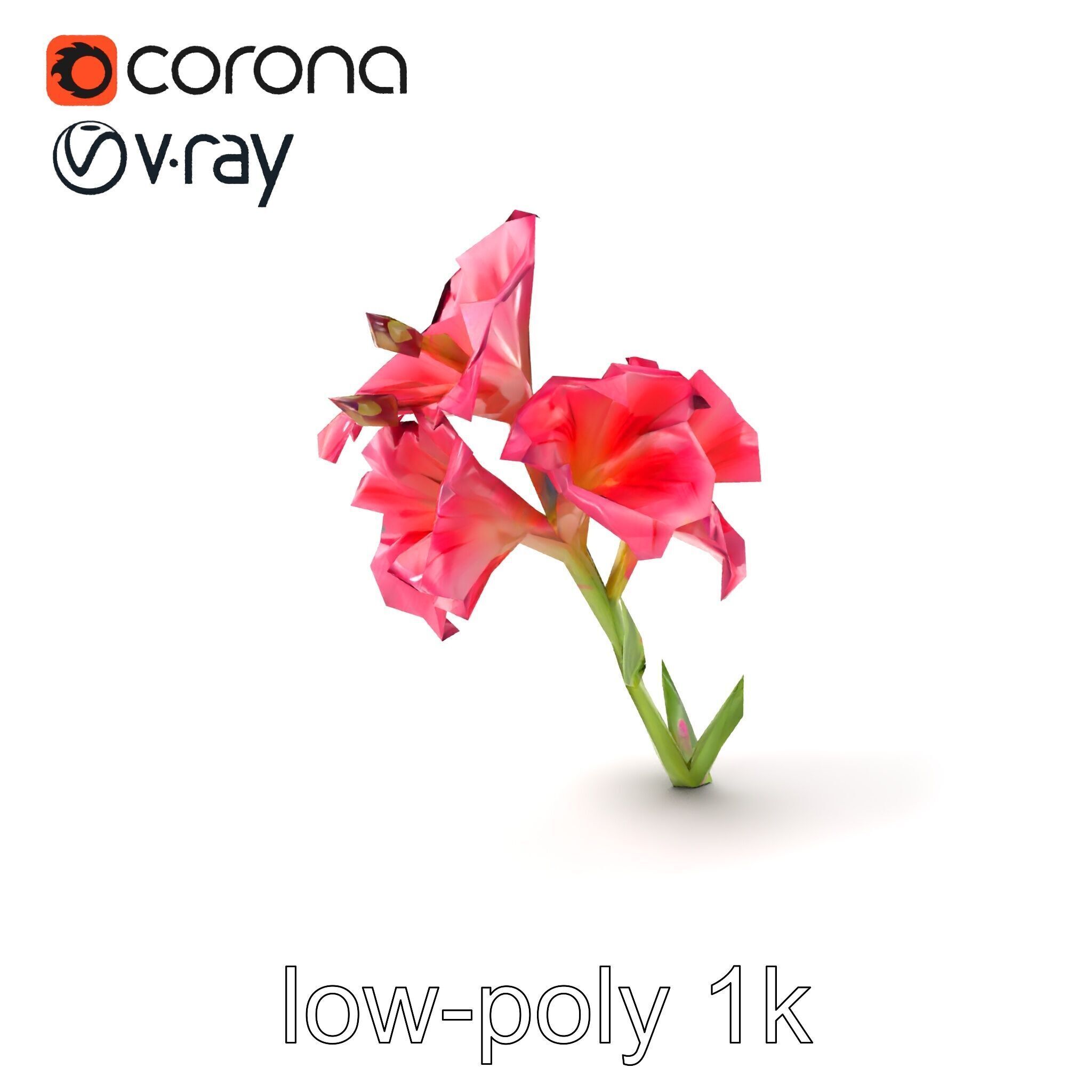 Gladiolus Grandiflorus Flora Sculpture model pack Low-poly 3D model_5
