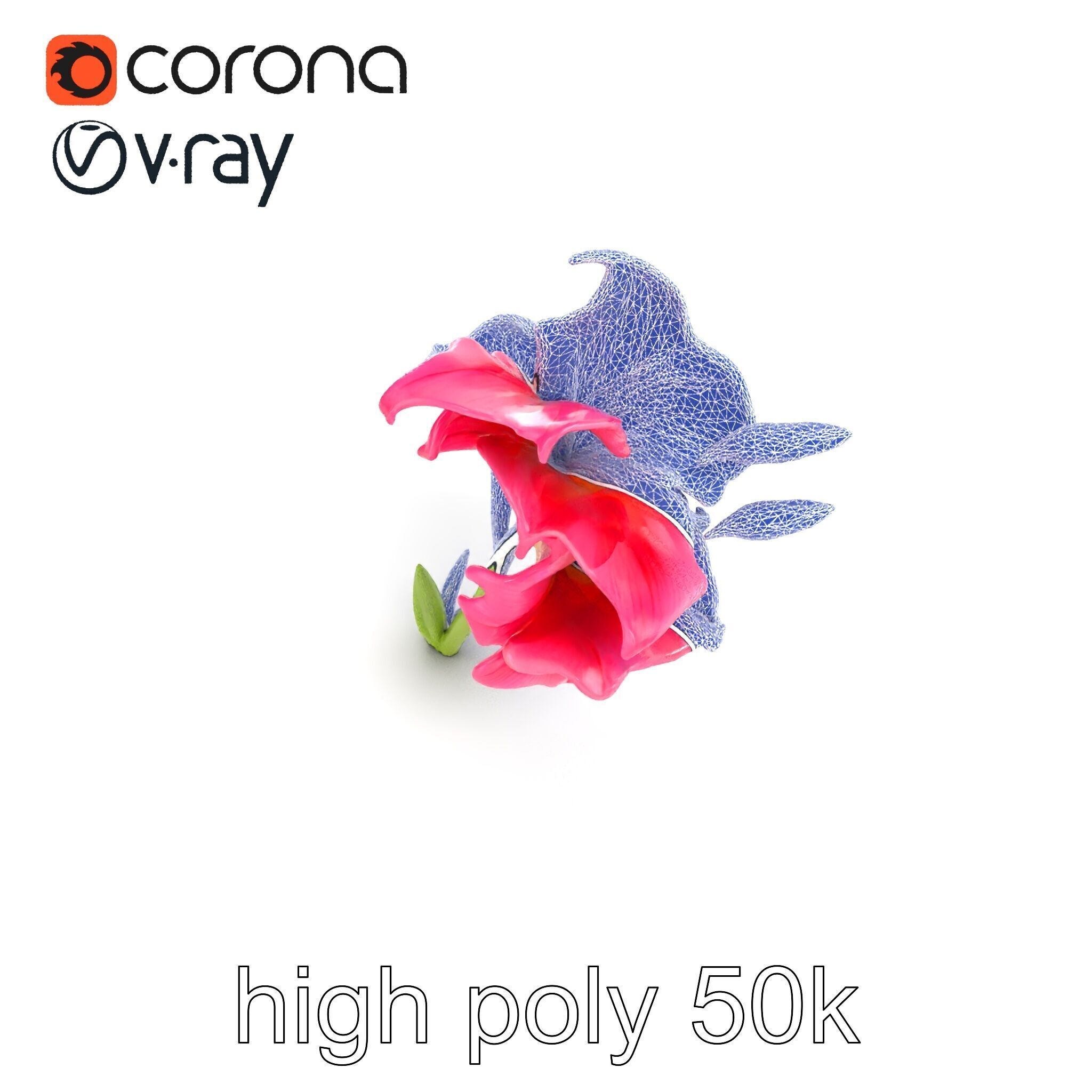 Gladiolus Grandiflorus Flora Sculpture model pack Low-poly 3D model_19