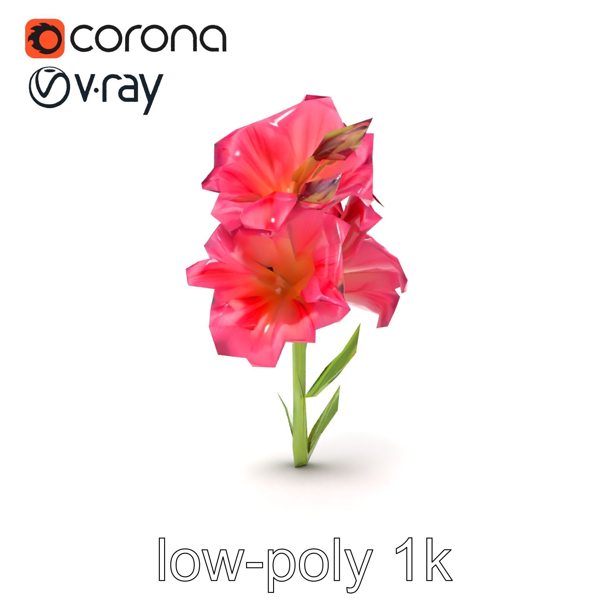 Gladiolus Grandiflorus Flora Sculpture model pack Low-poly 3D model_31