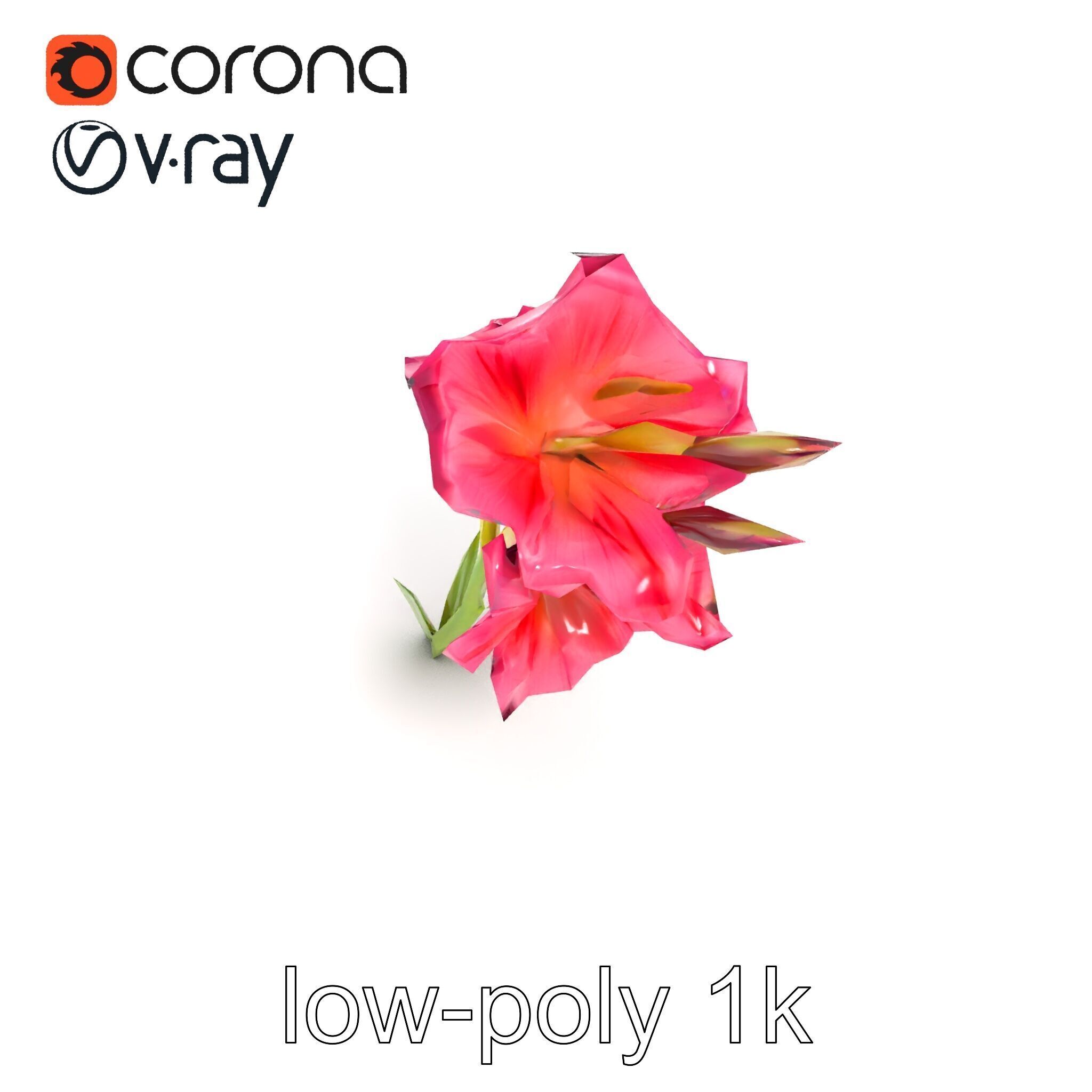 Gladiolus Grandiflorus Flora Sculpture model pack Low-poly 3D model_13