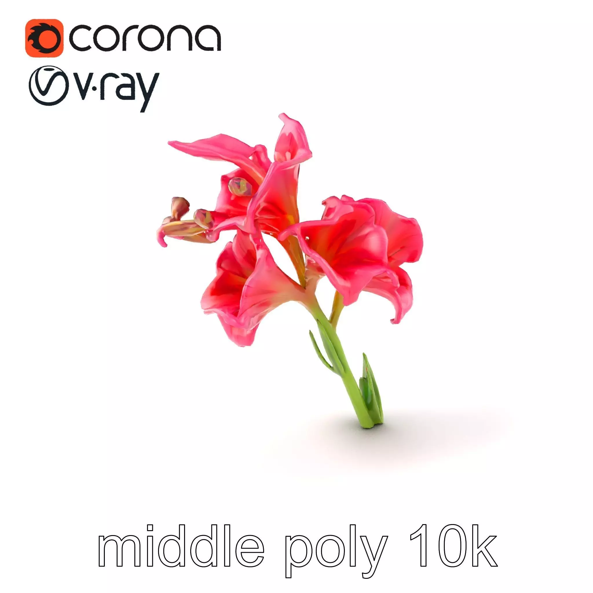 Gladiolus Grandiflorus Flora Sculpture model pack Low-poly 3D model_0