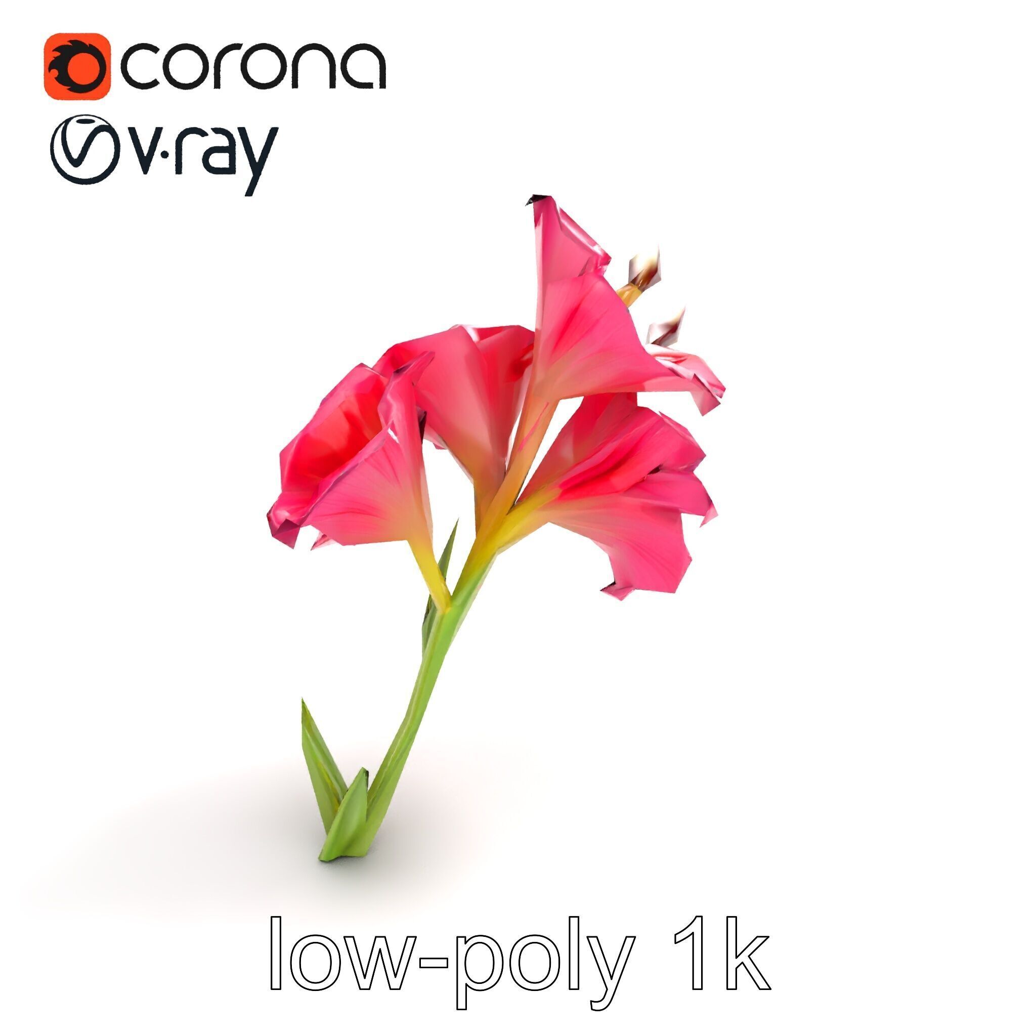 Gladiolus Grandiflorus Flora Sculpture model pack Low-poly 3D model_9