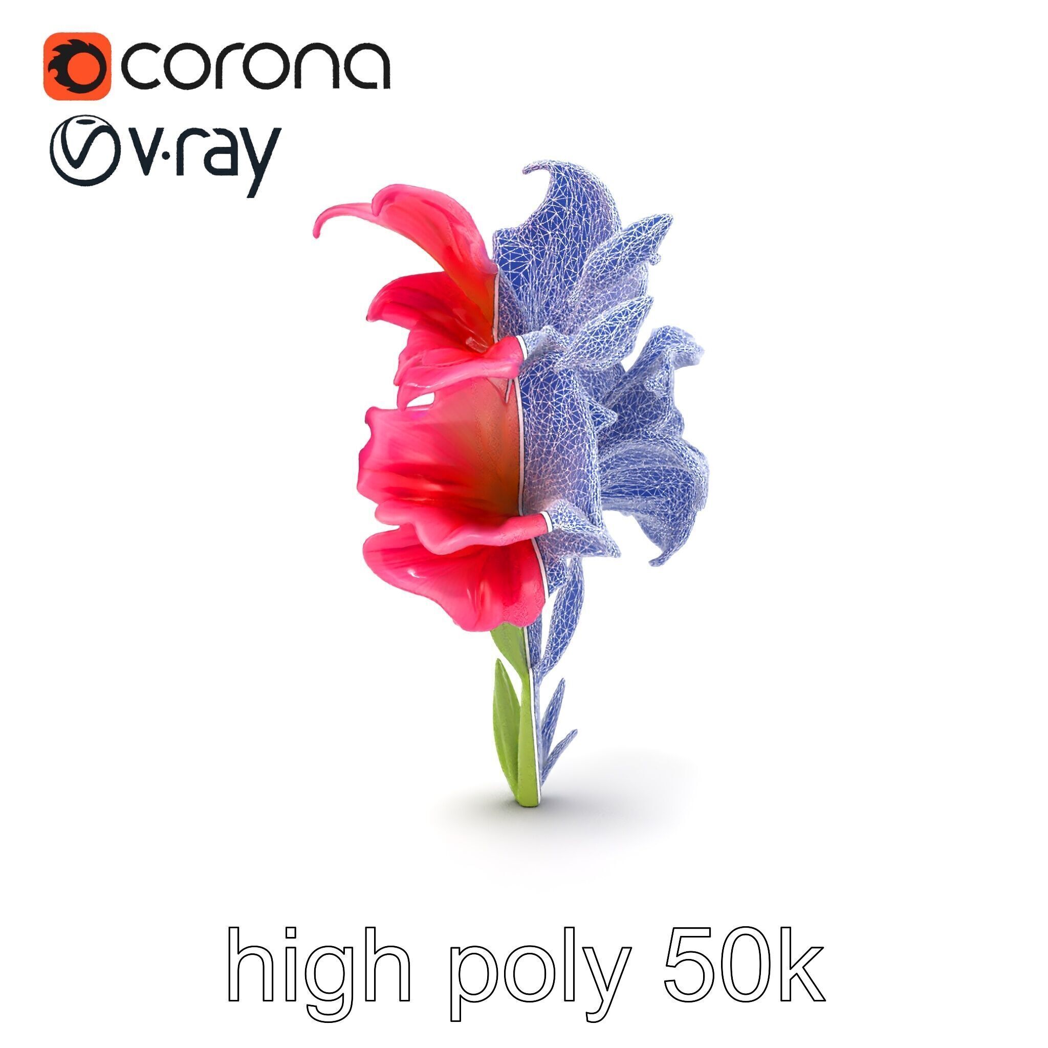 Gladiolus Grandiflorus Flora Sculpture model pack Low-poly 3D model_25