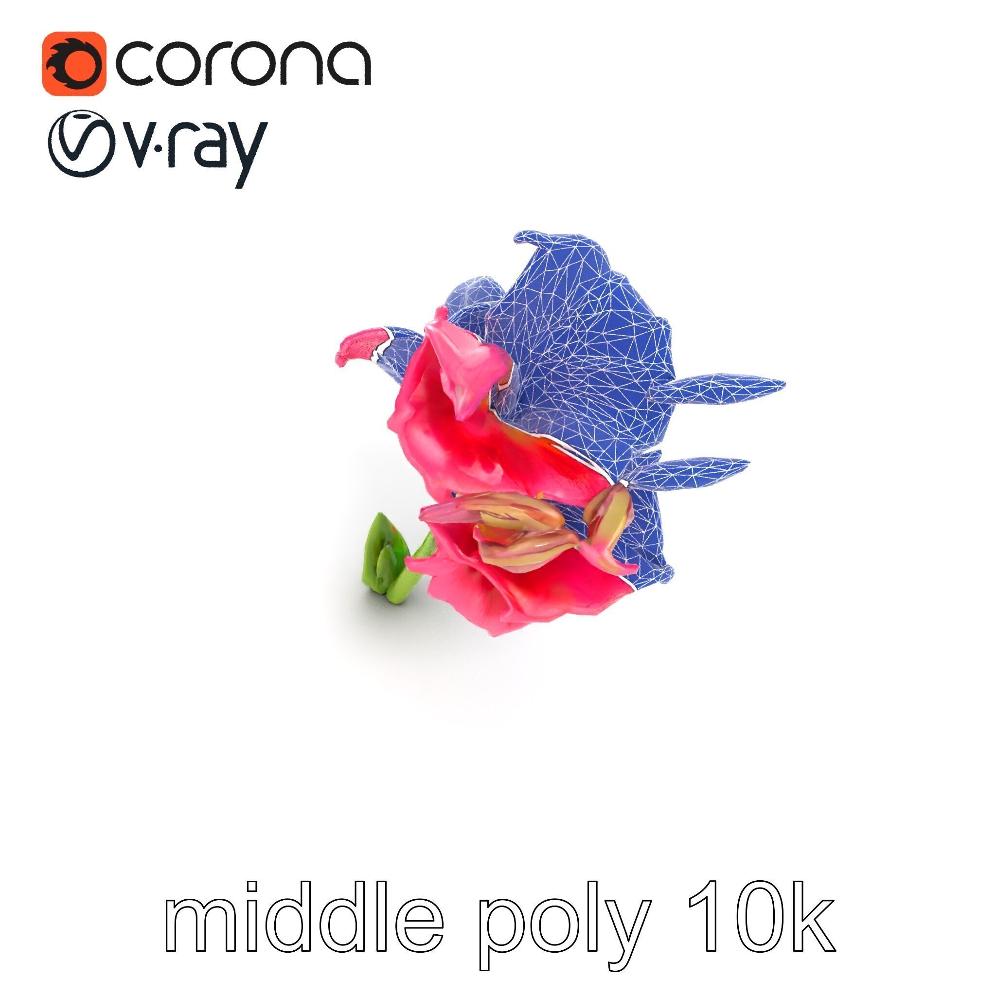 Gladiolus Grandiflorus Flora Sculpture model pack Low-poly 3D model_21