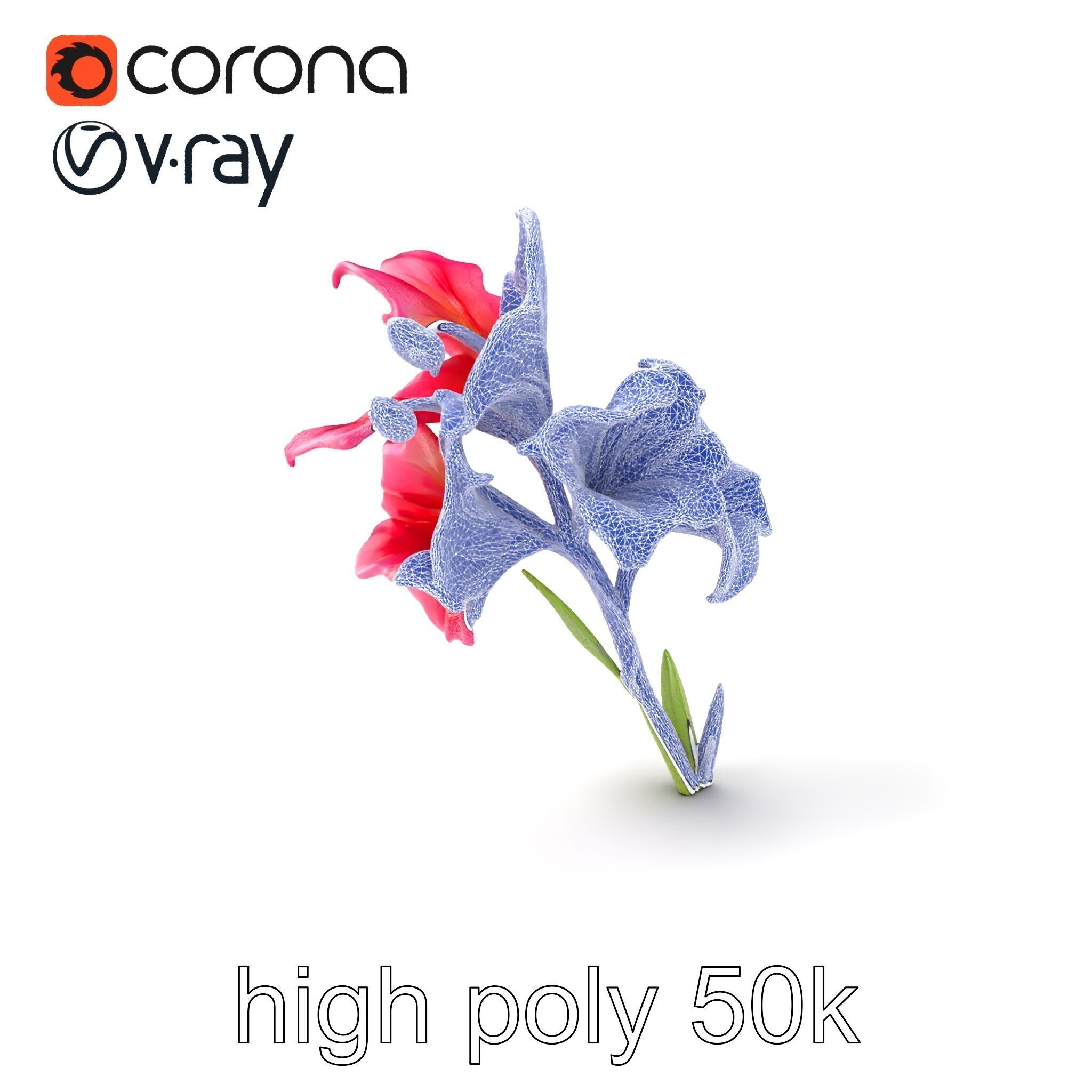 Gladiolus Grandiflorus Flora Sculpture model pack Low-poly 3D model_10