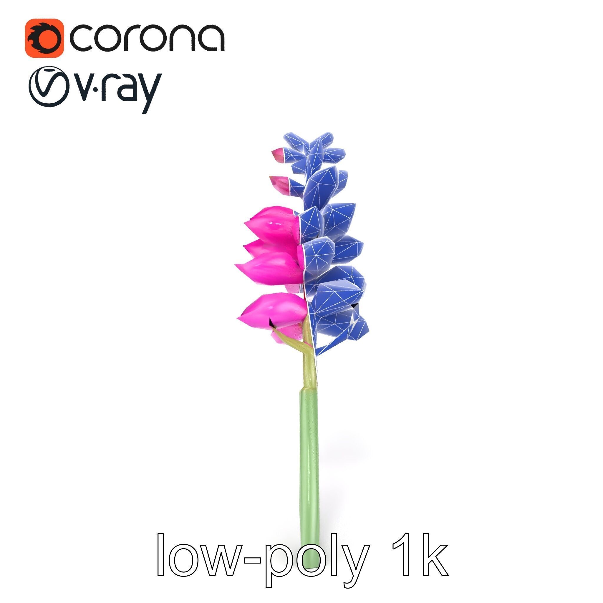 Spear Gladiolus Elegant Flora model pack Low-poly 3D model_23