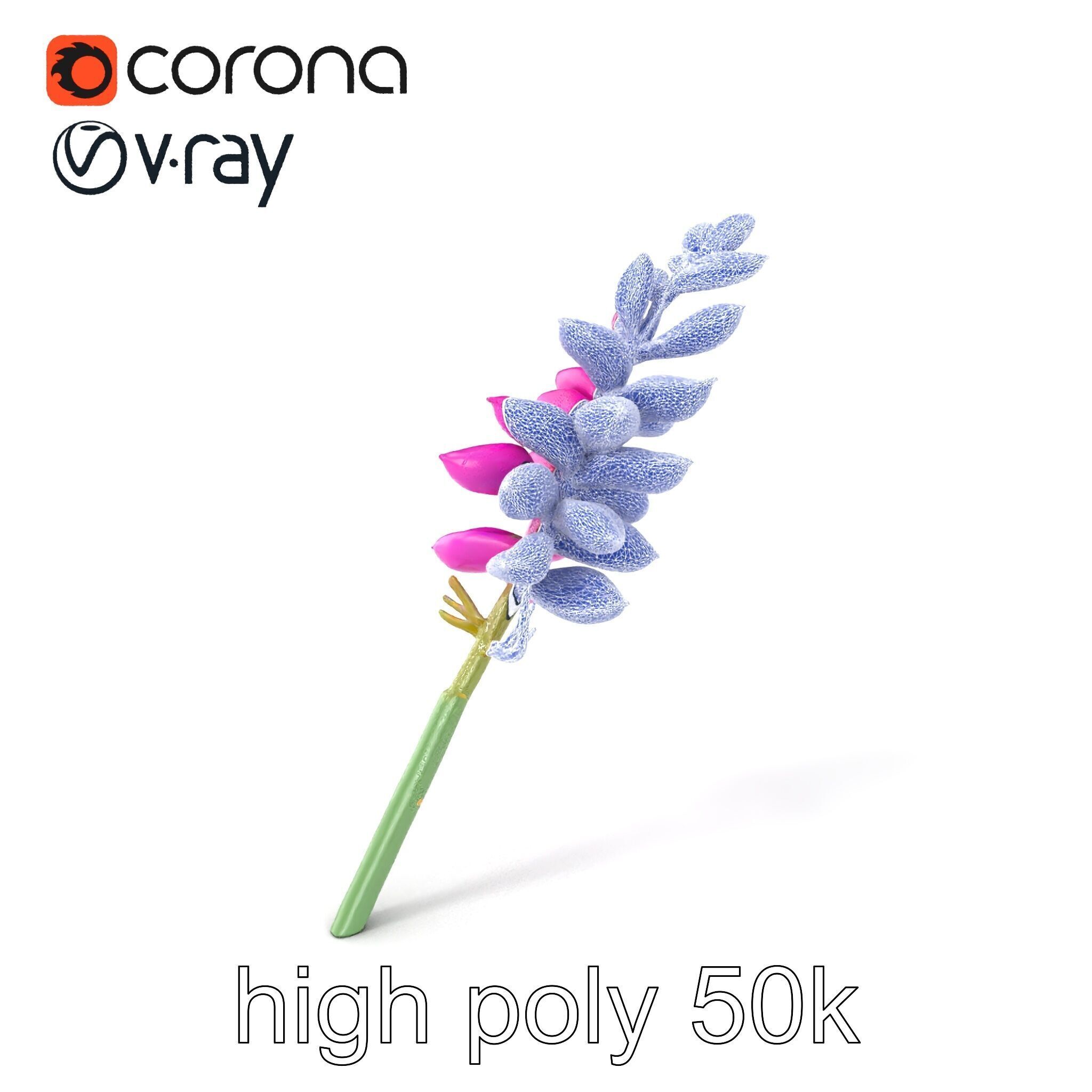 Spear Gladiolus Elegant Flora model pack Low-poly 3D model_1