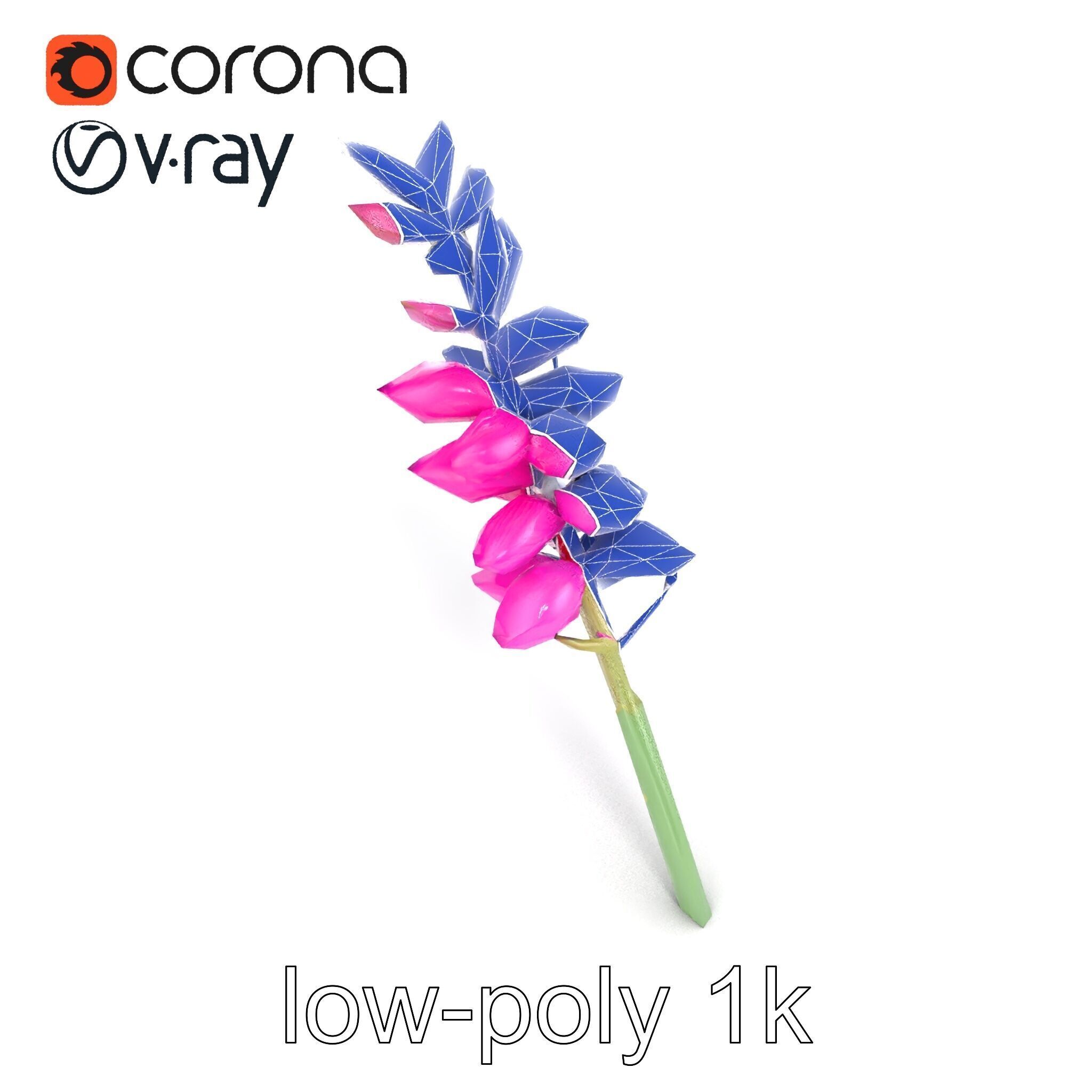 Spear Gladiolus Elegant Flora model pack Low-poly 3D model_20