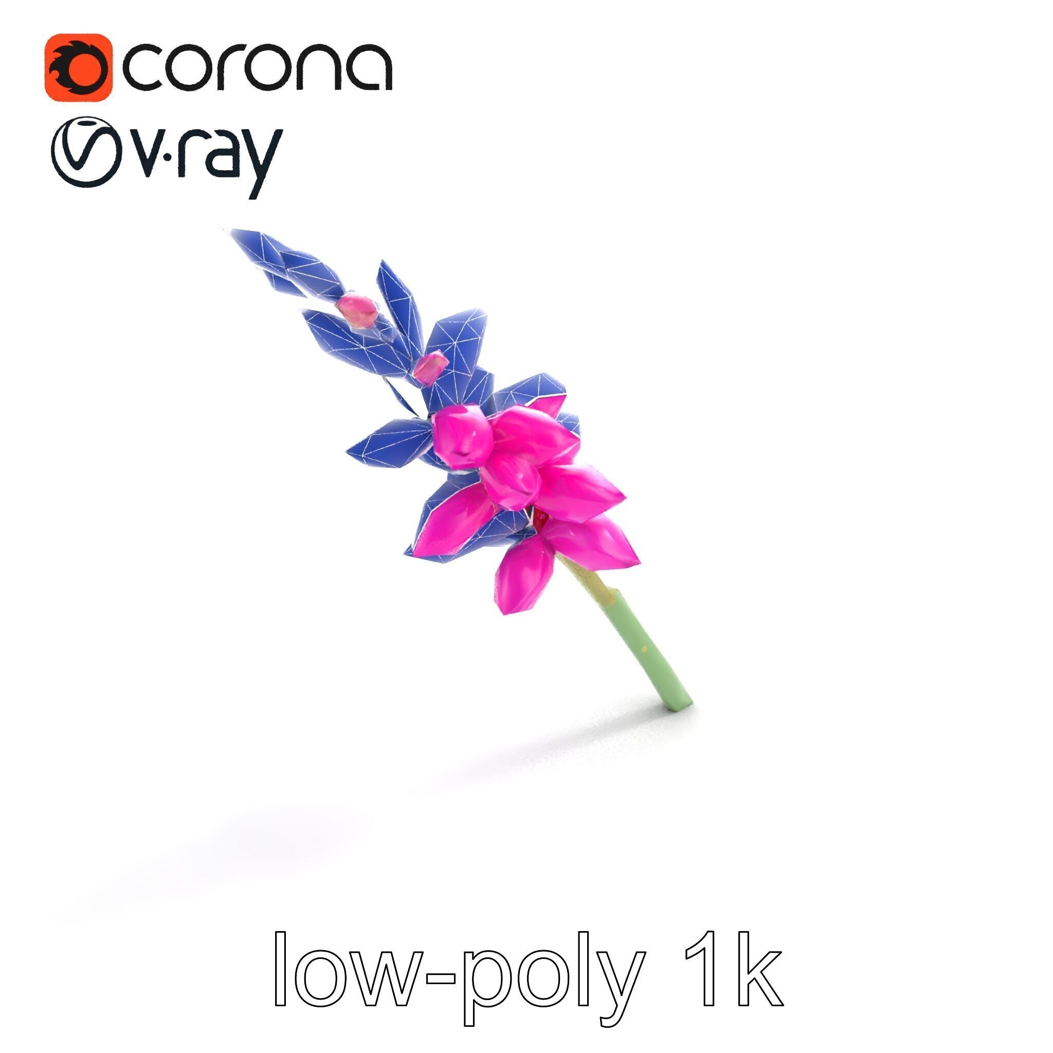 Spear Gladiolus Elegant Flora model pack Low-poly 3D model_15