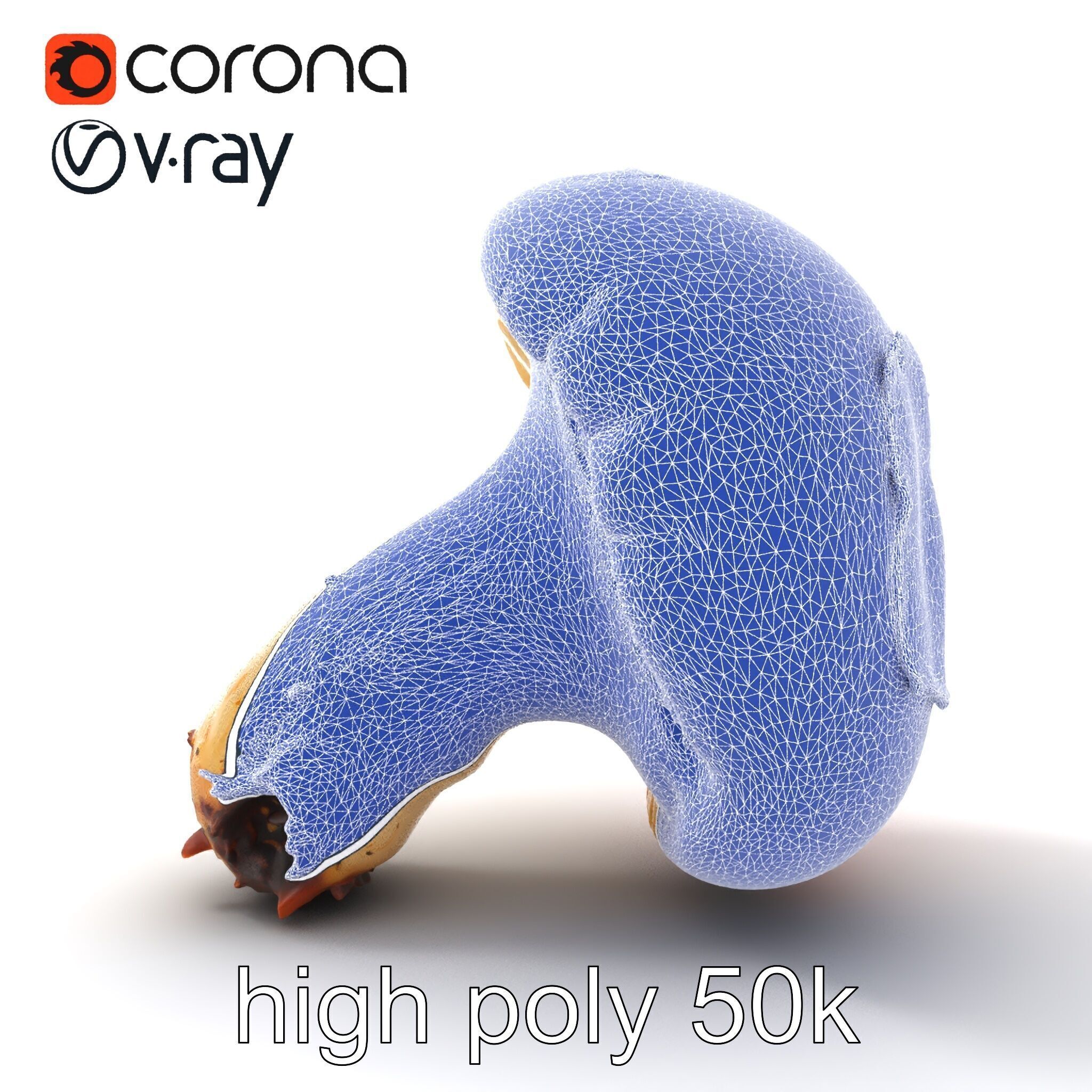 Damaged Red-Cap Mushroom Realistic Texture model pack Low-poly 3D model_28