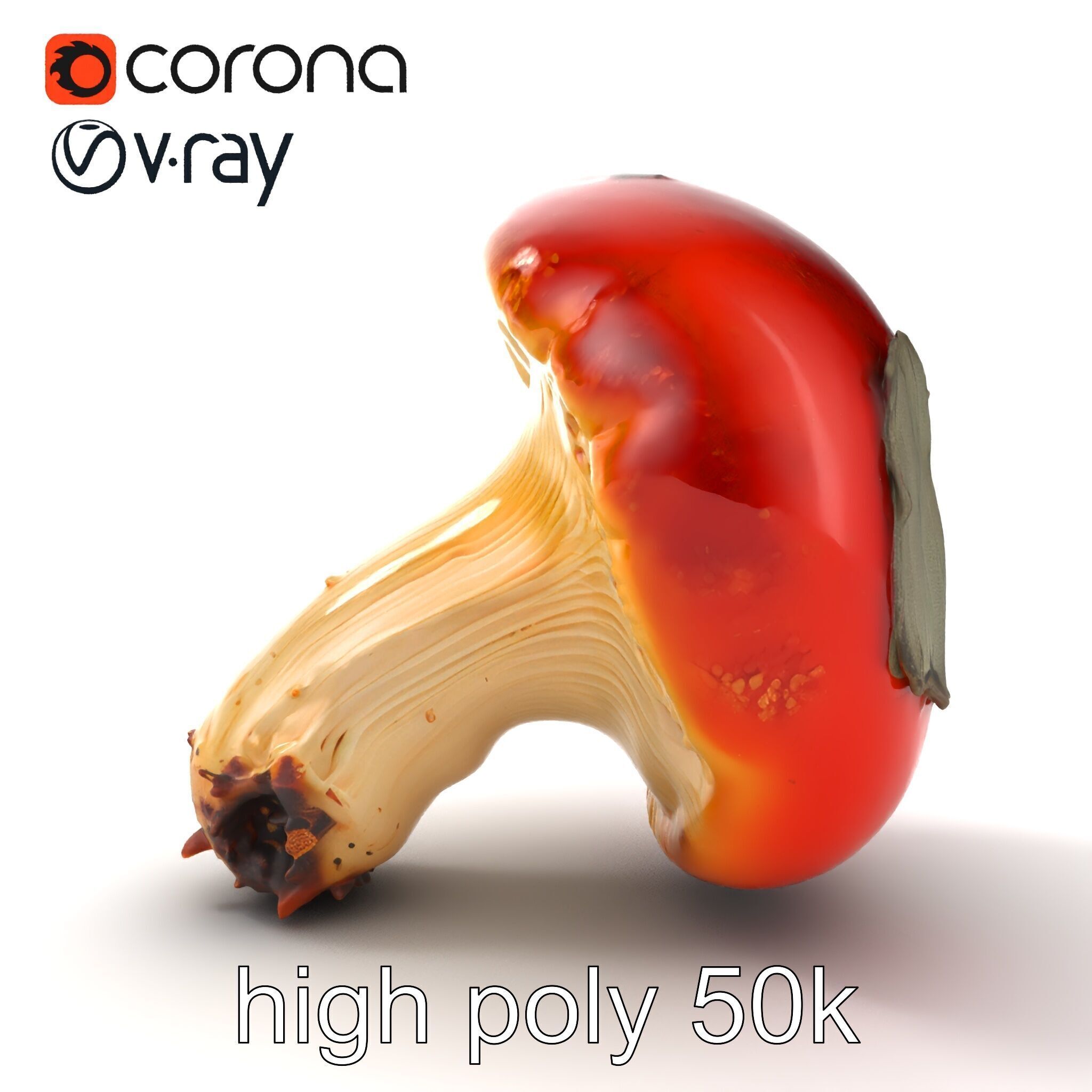 Damaged Red-Cap Mushroom Realistic Texture model pack Low-poly 3D model_15