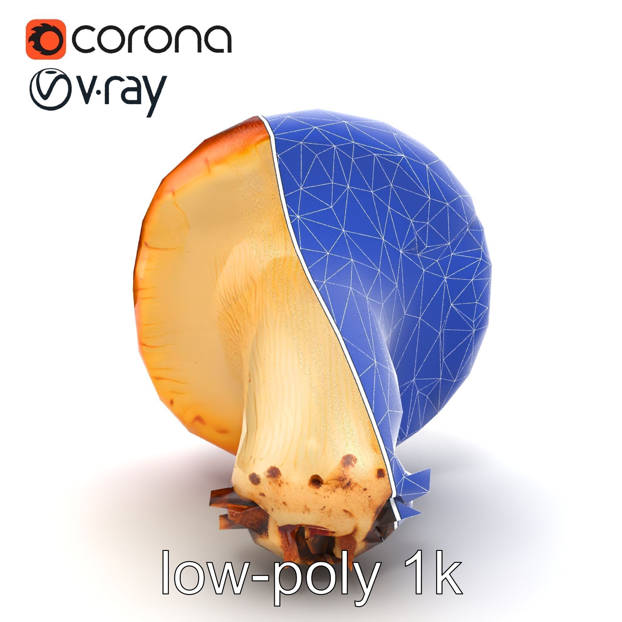 Damaged Red-Cap Mushroom Realistic Texture model pack Low-poly 3D model_29