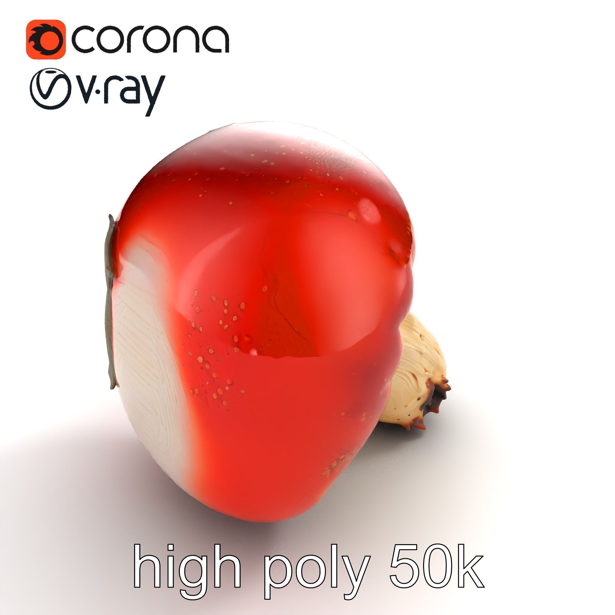 Damaged Red-Cap Mushroom Realistic Texture model pack Low-poly 3D model_32