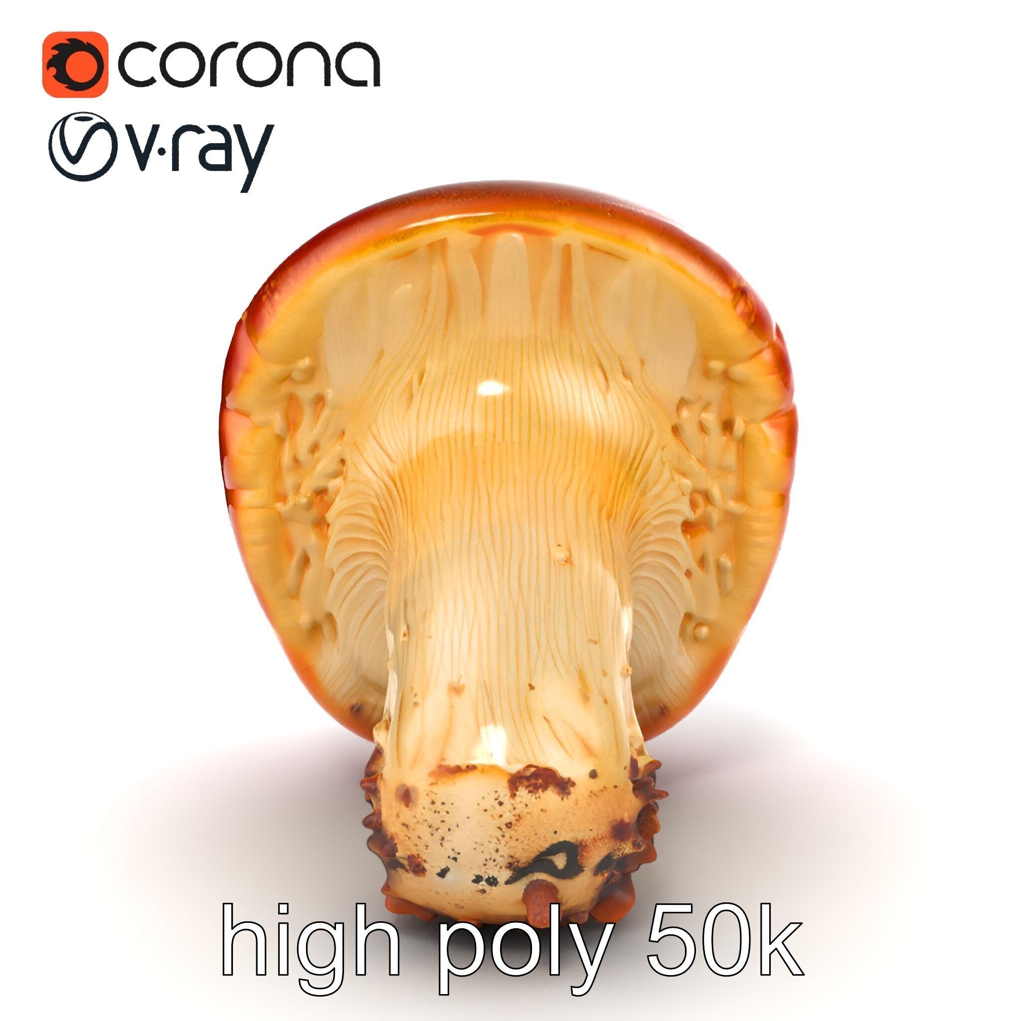 Damaged Red-Cap Mushroom Realistic Texture model pack Low-poly 3D model_19