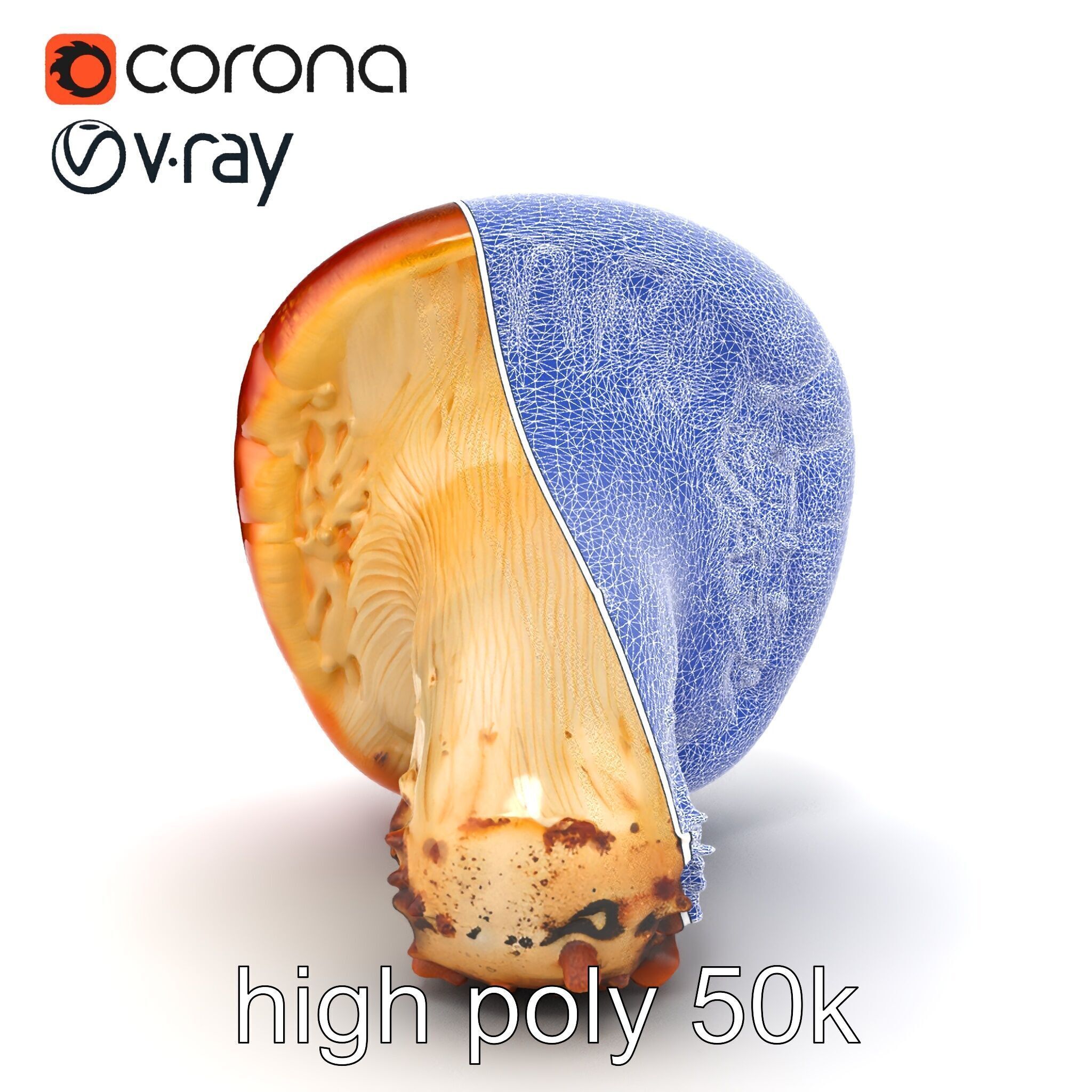 Damaged Red-Cap Mushroom Realistic Texture model pack Low-poly 3D model_27