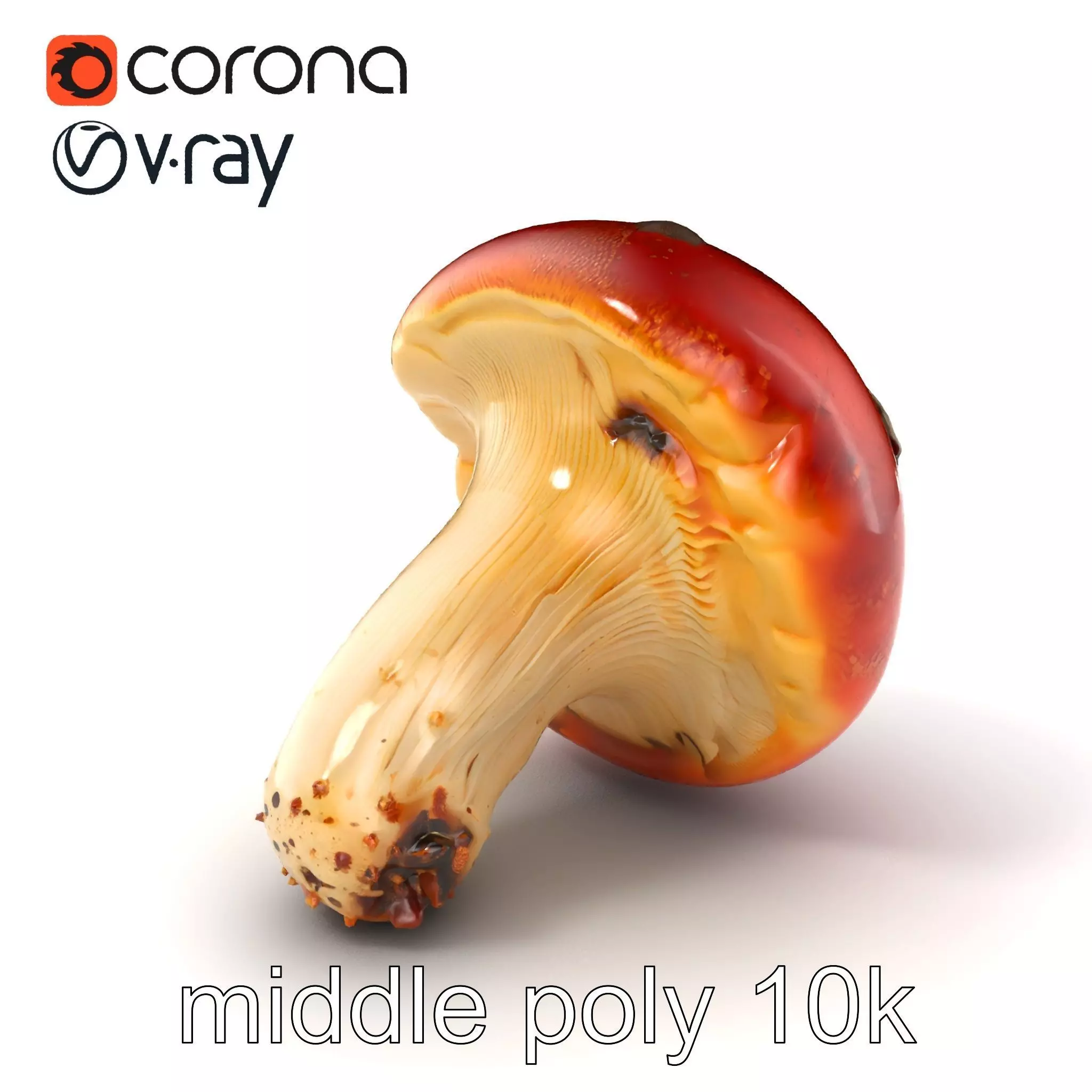 Damaged Red-Cap Mushroom Realistic Texture model pack Low-poly 3D model_0