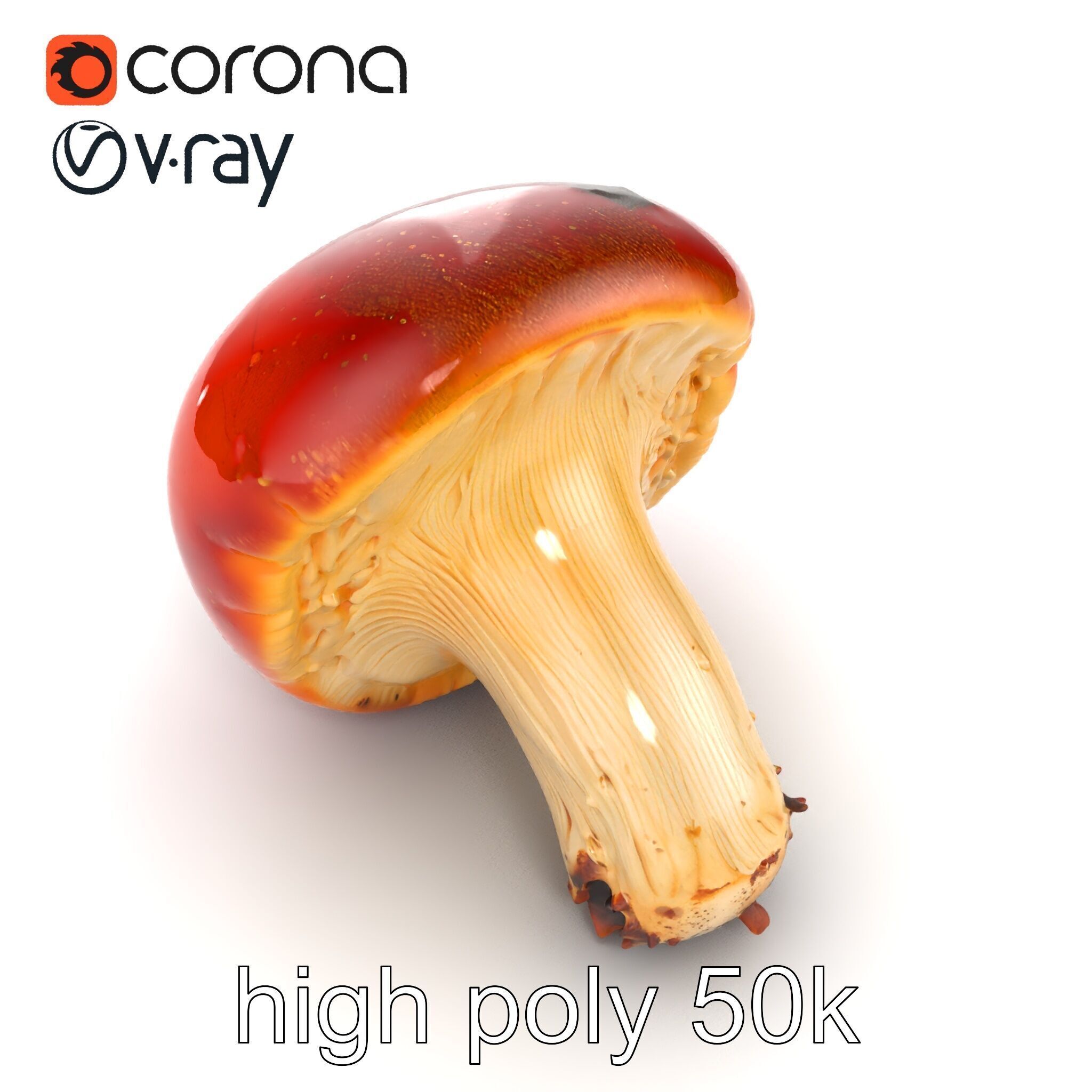Damaged Red-Cap Mushroom Realistic Texture model pack Low-poly 3D model_13